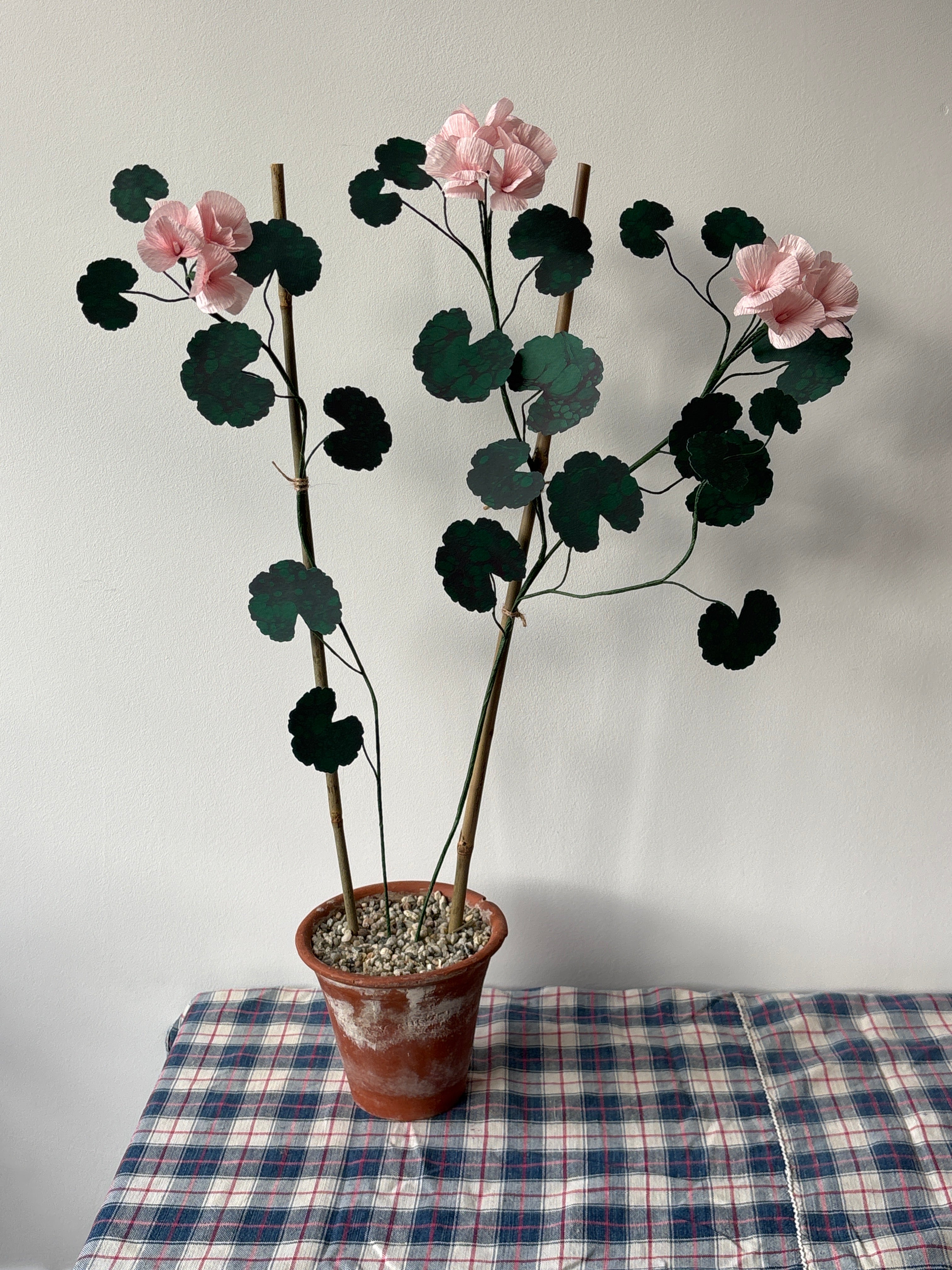 Paper Geranium