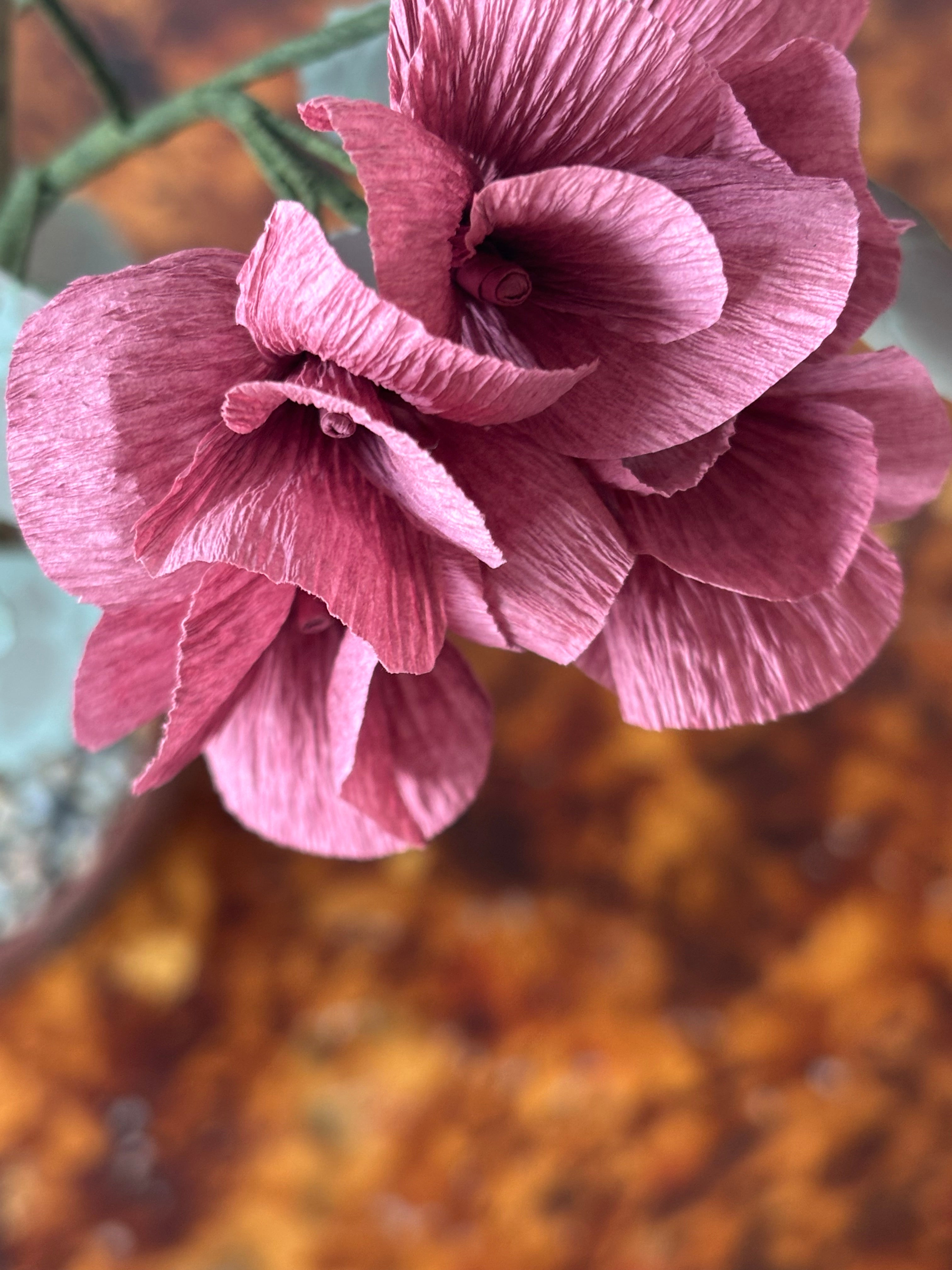 Paper Geranium