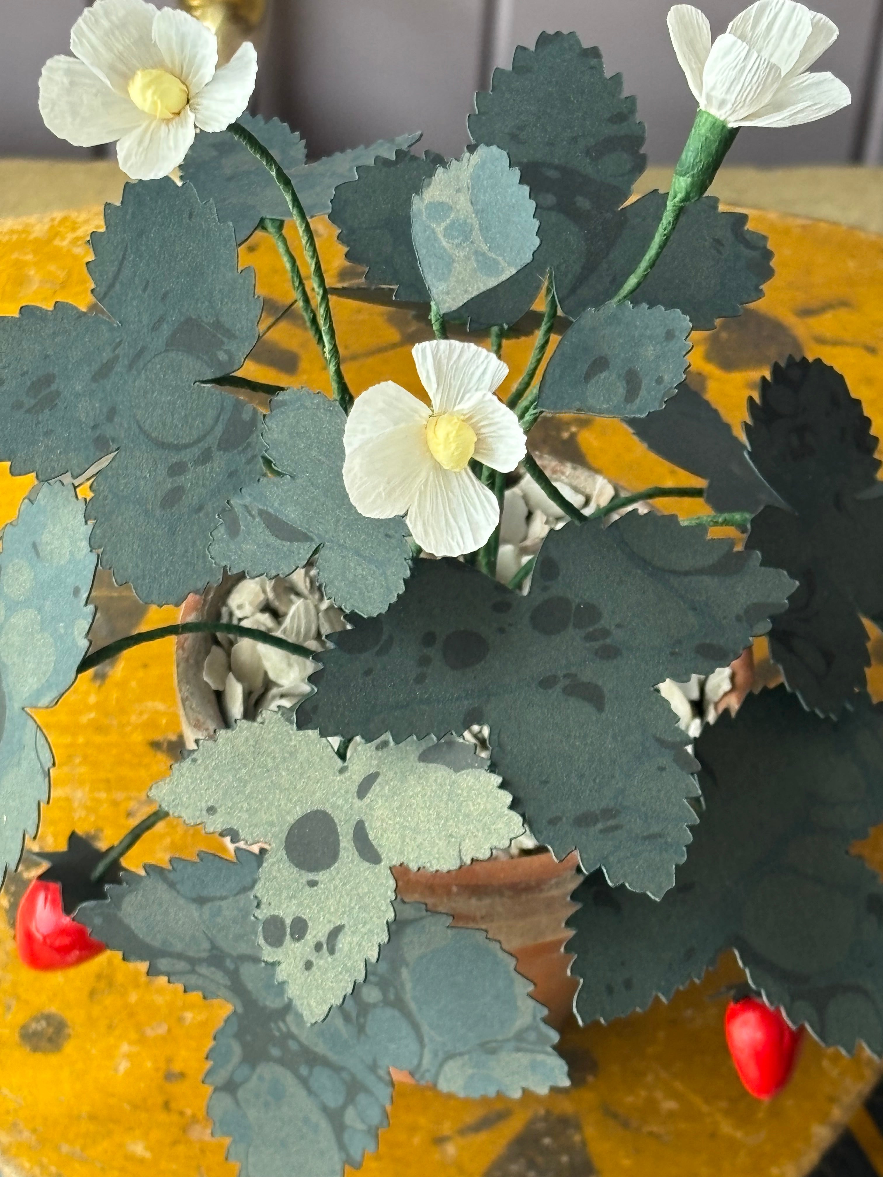Paper wild strawberry