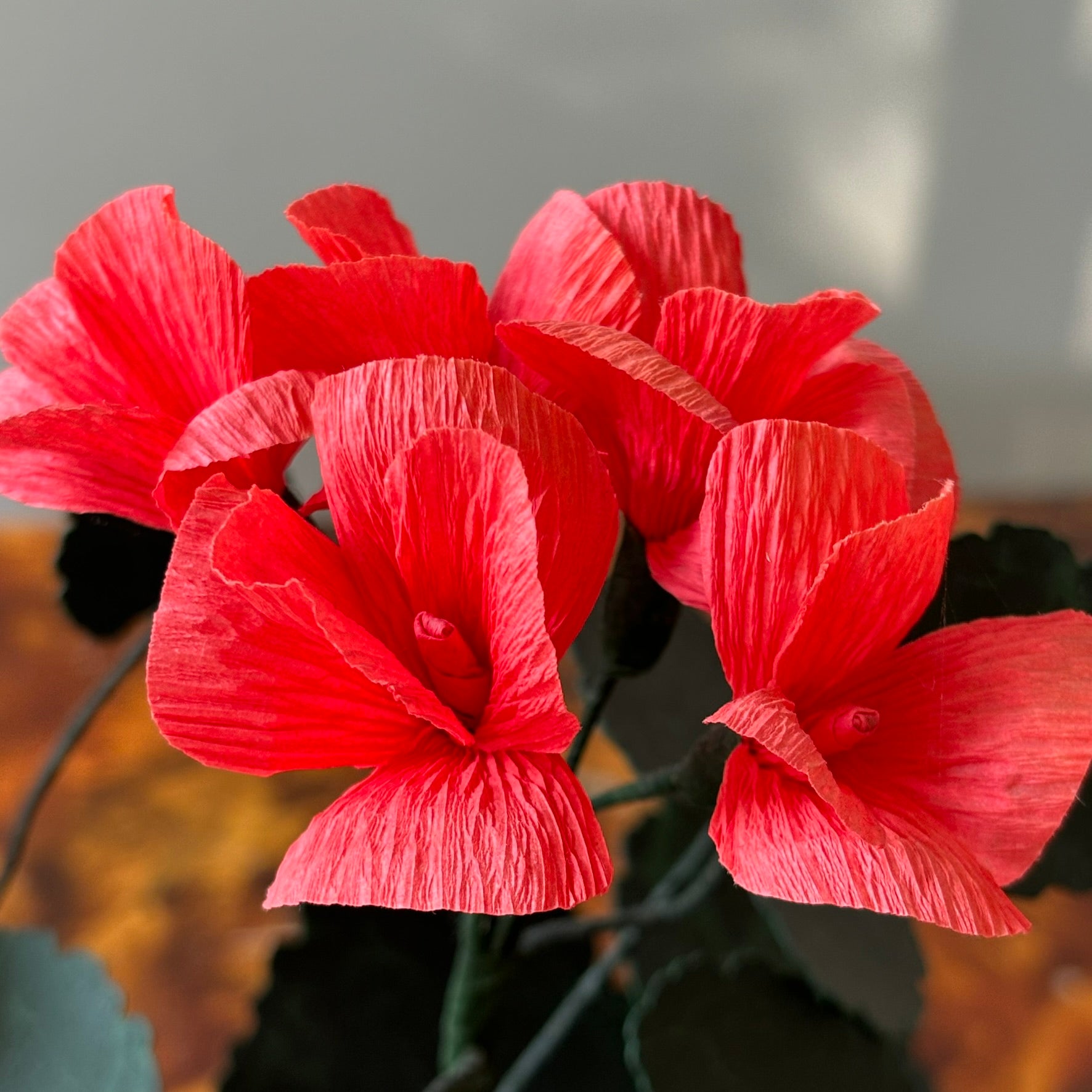 Paper Geranium