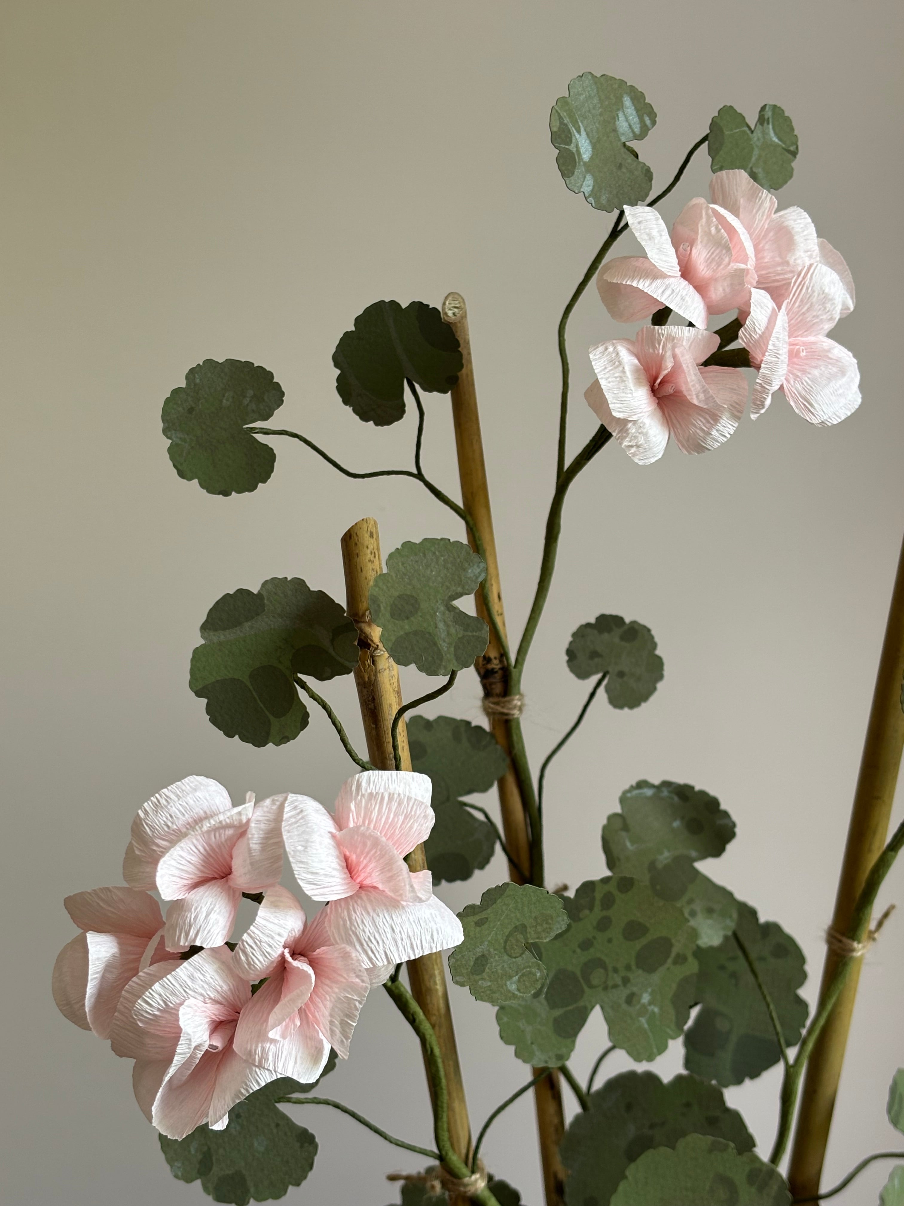 Paper Geranium