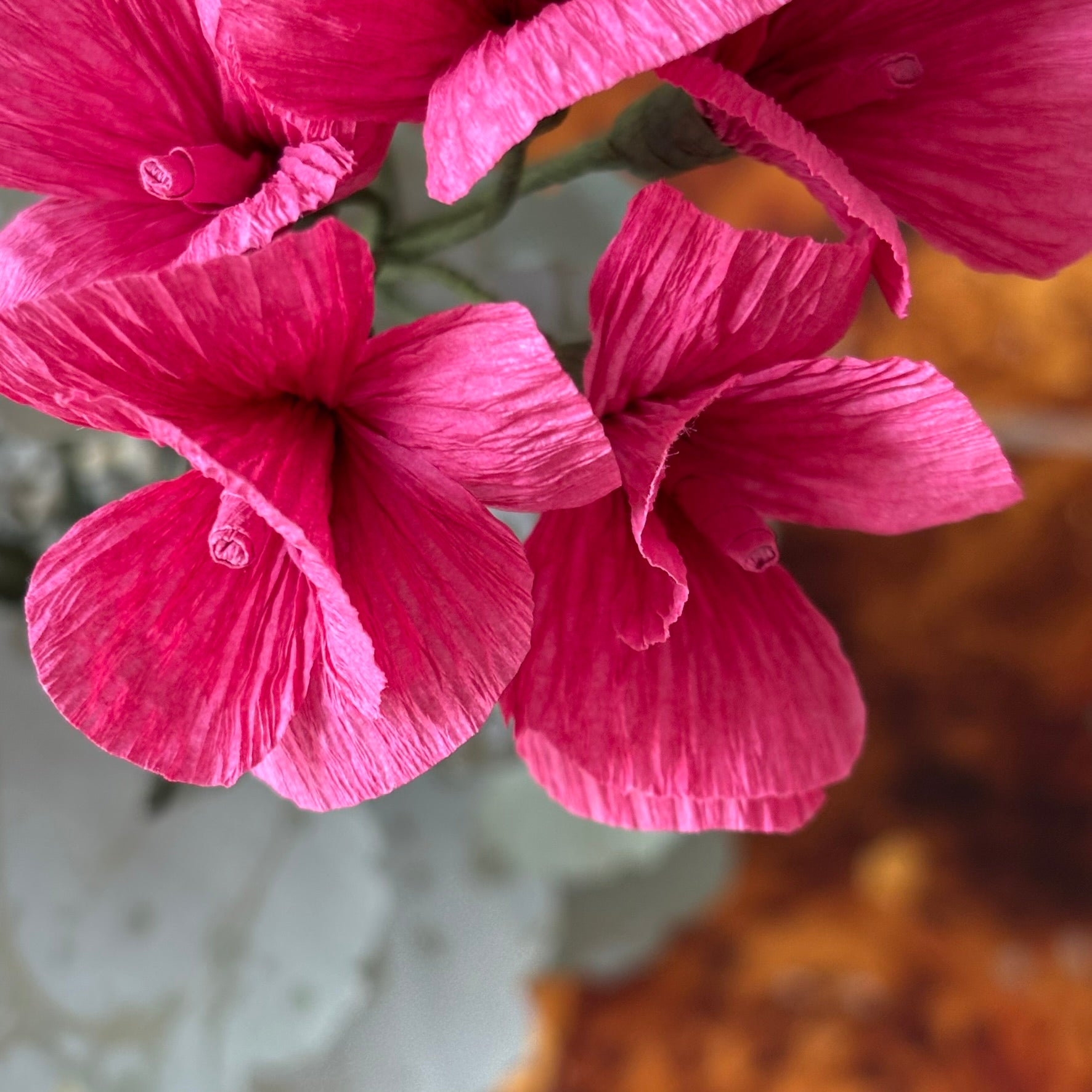 Paper Geranium