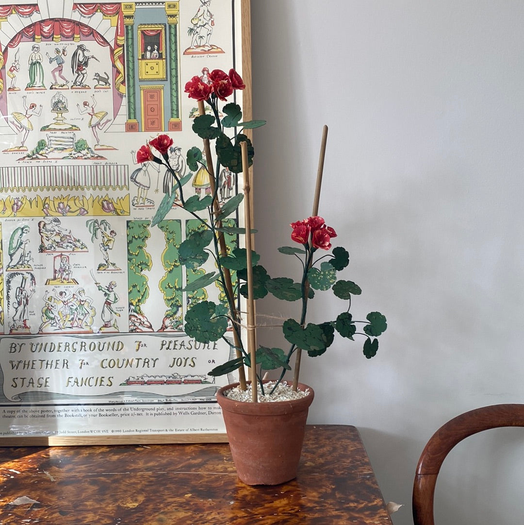 Paper Geranium