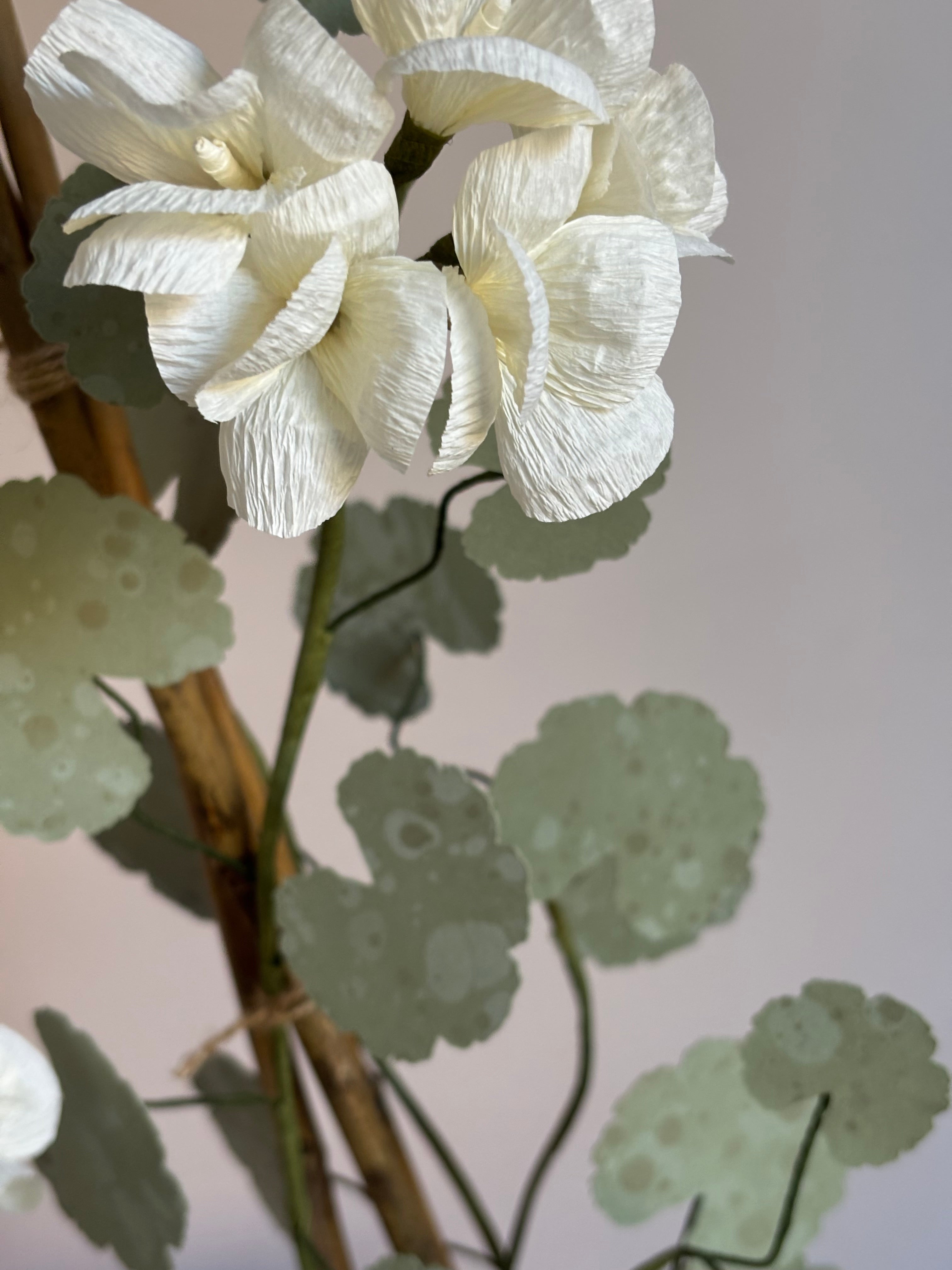 Paper Geranium
