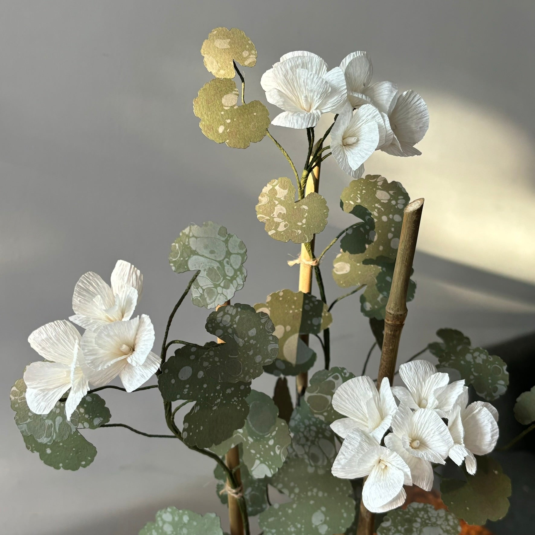 Paper Geranium