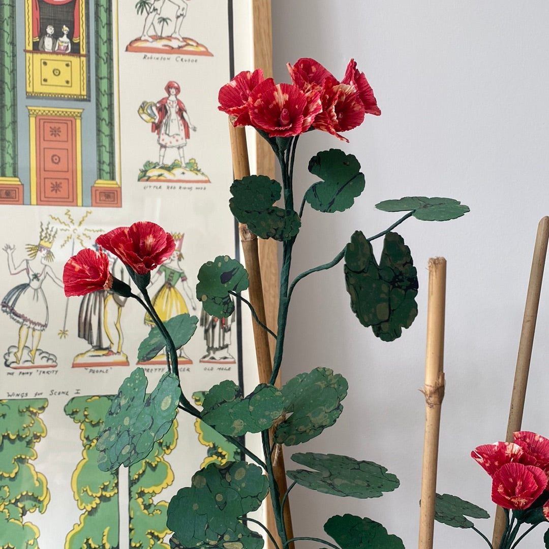Paper Geranium