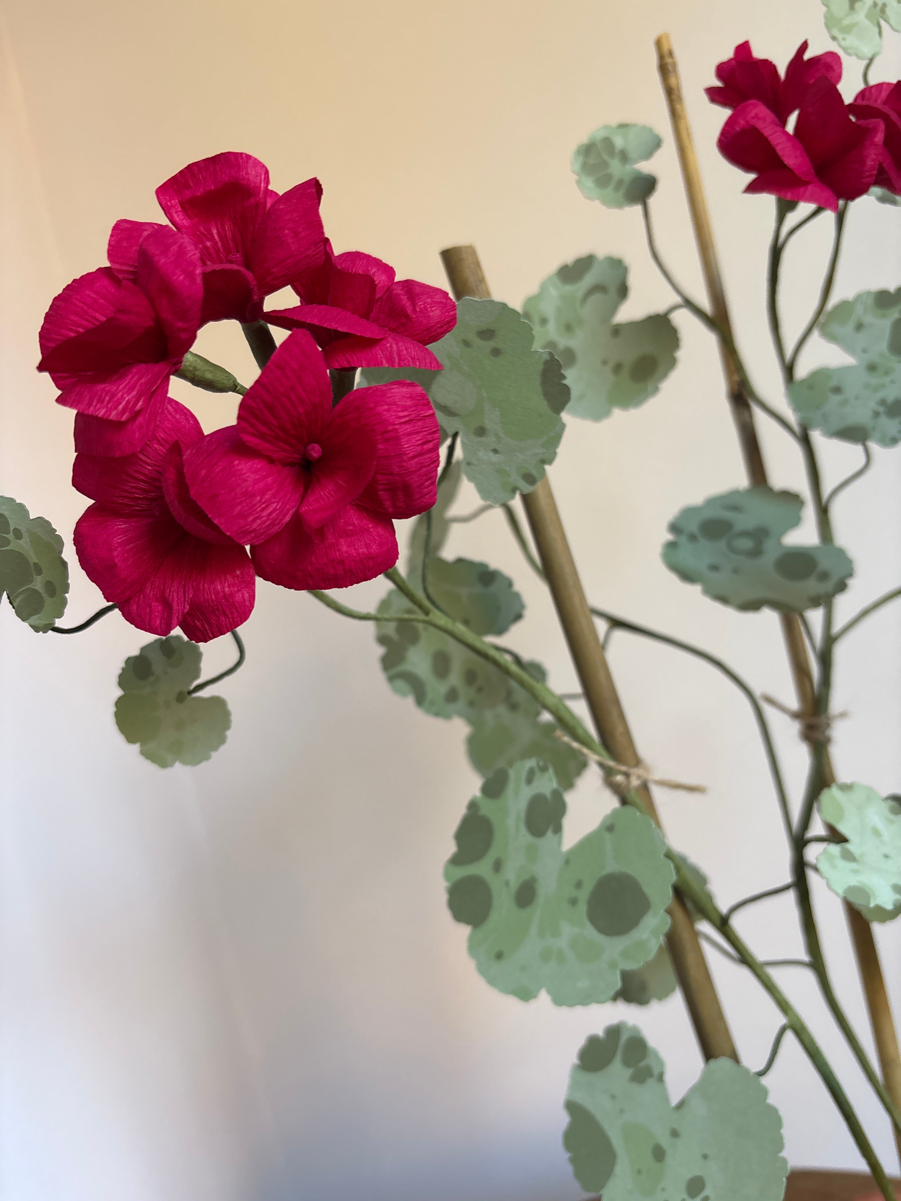 Paper Geranium