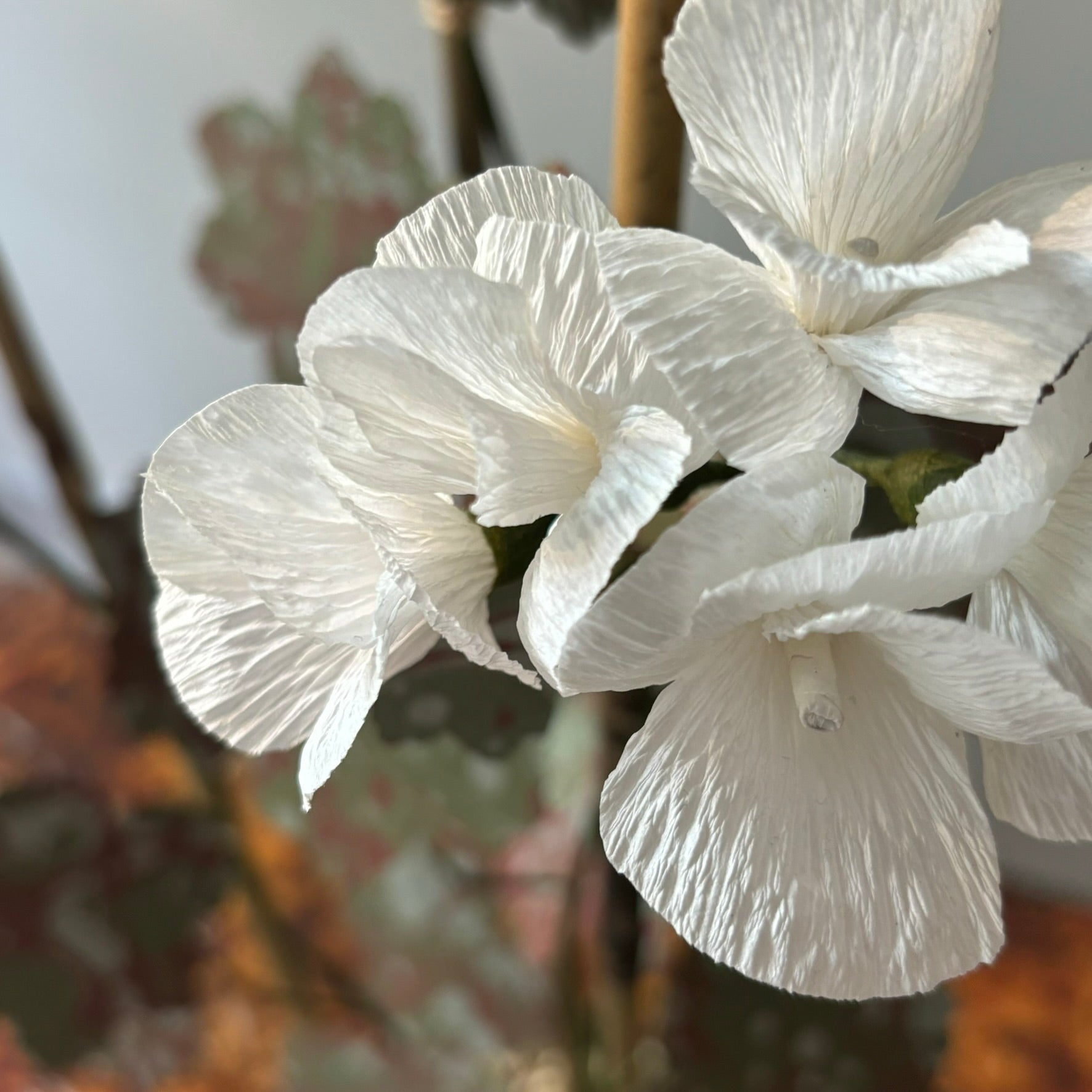 Paper Geranium