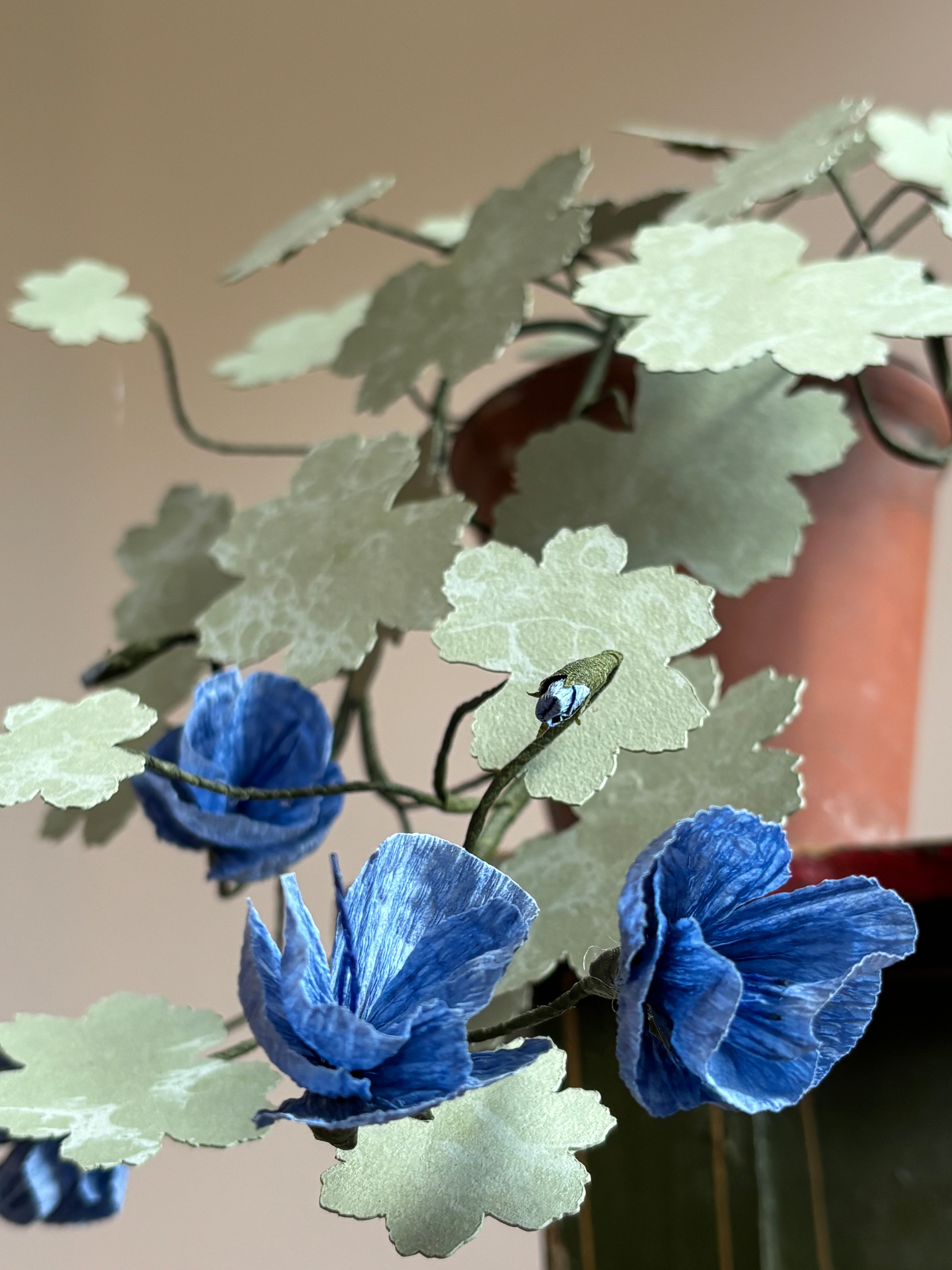 Paper hardy Geranium, trailing