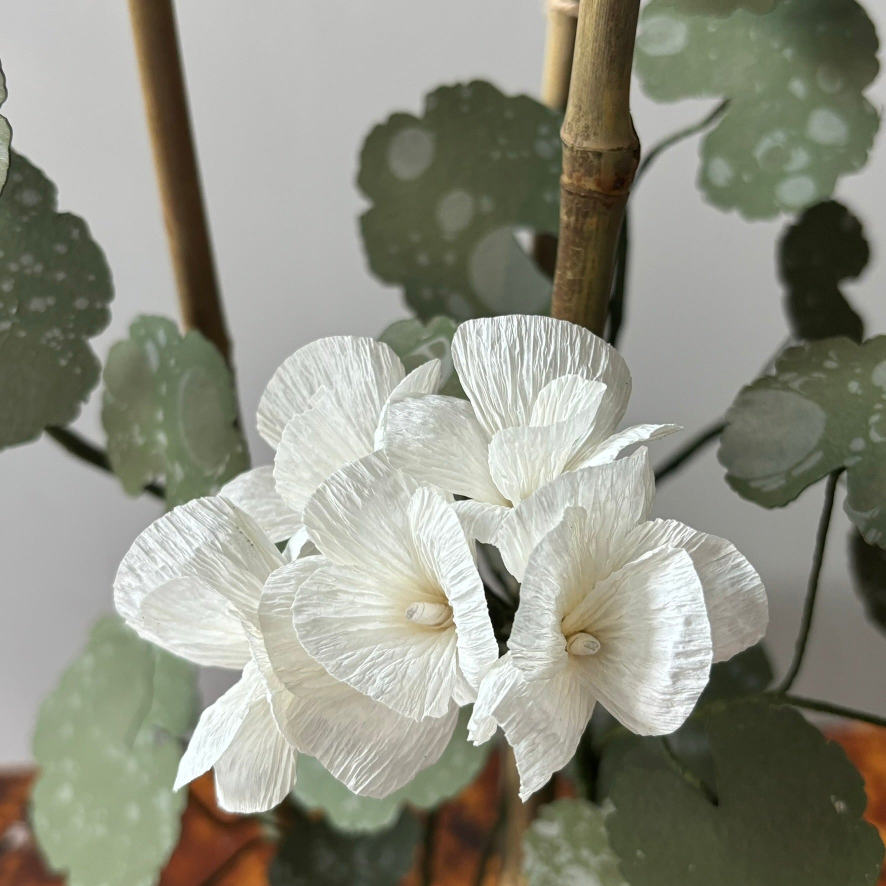 Paper Geranium