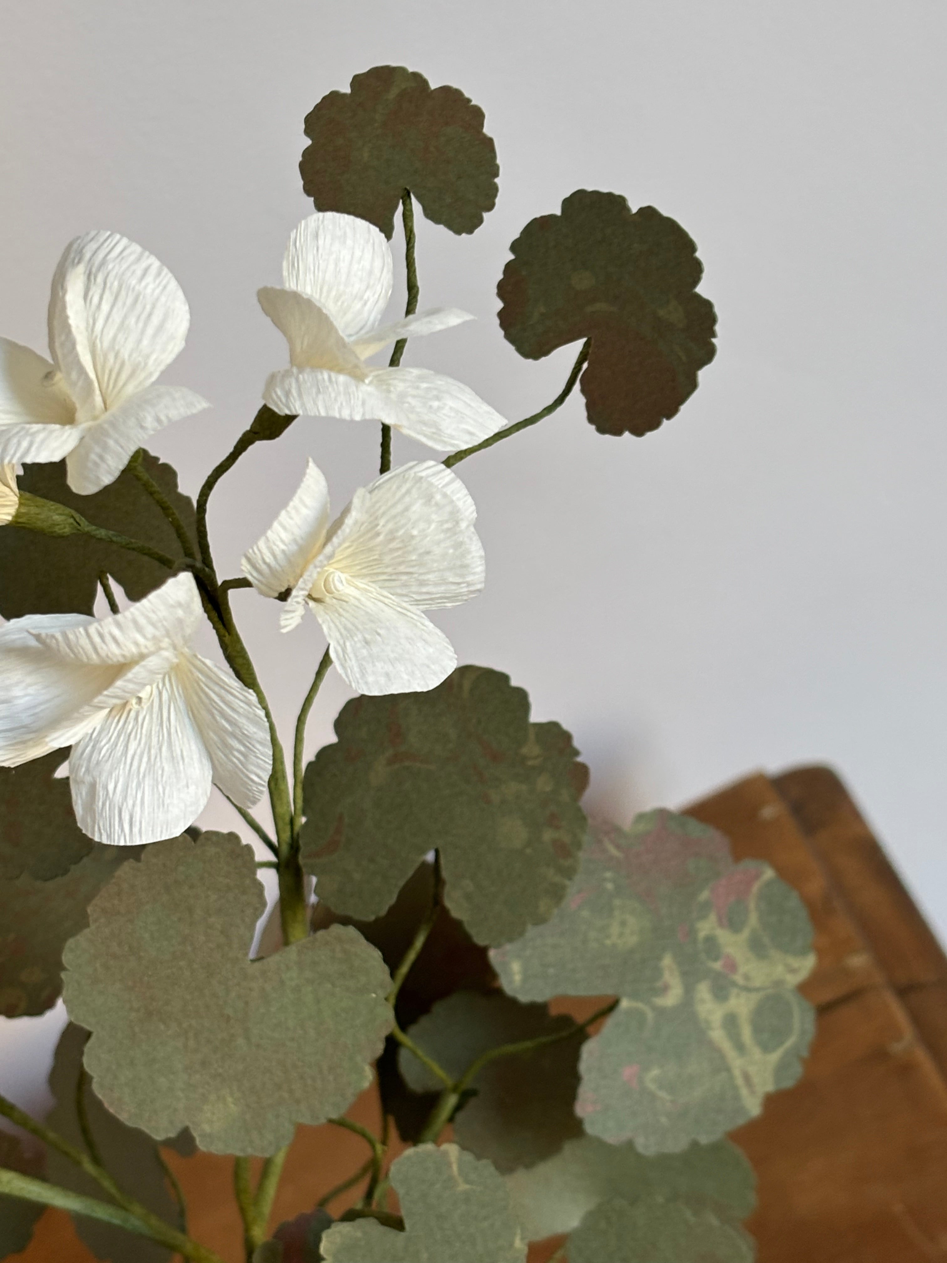 Paper Geranium