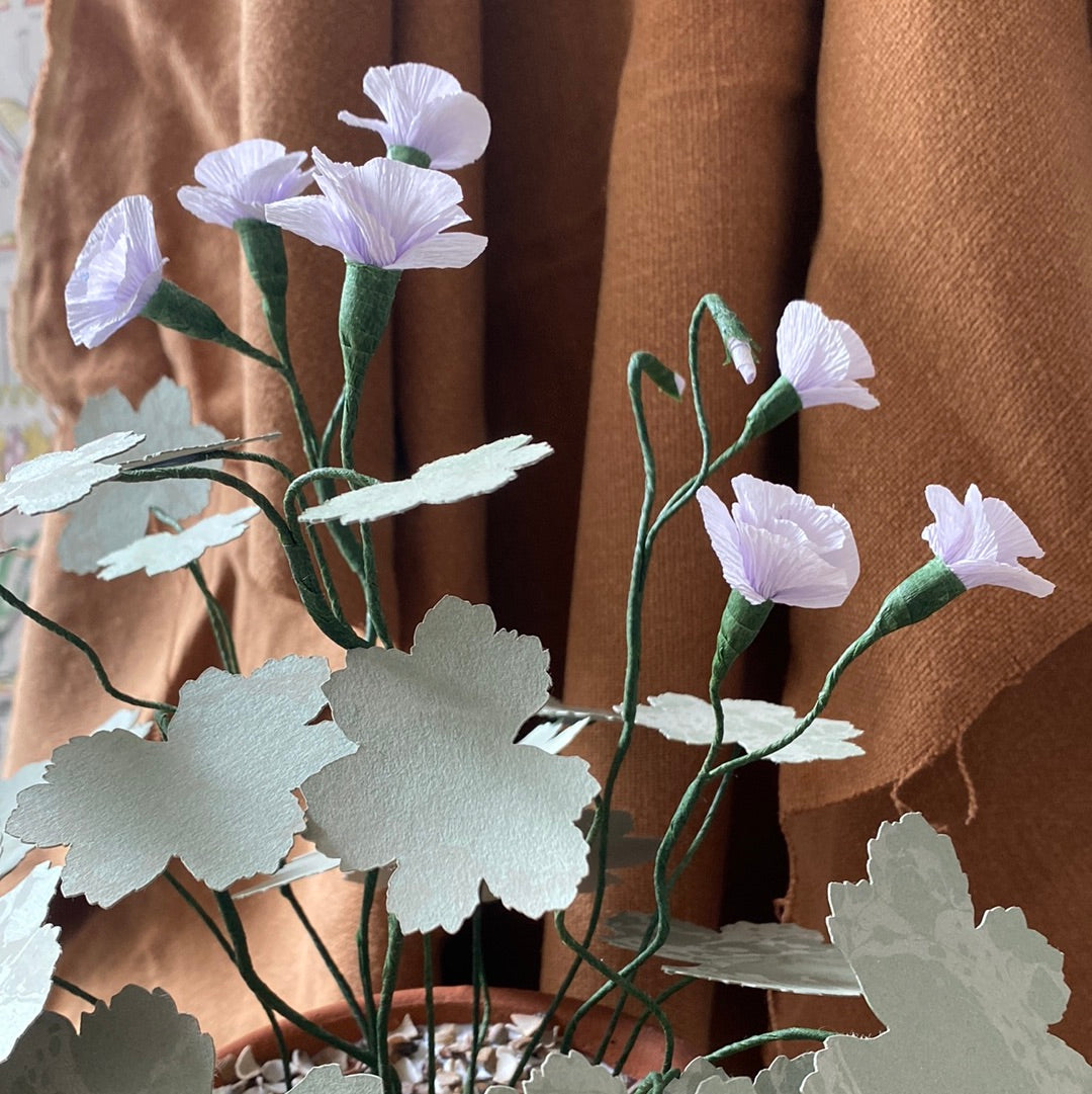 Paper Geranium