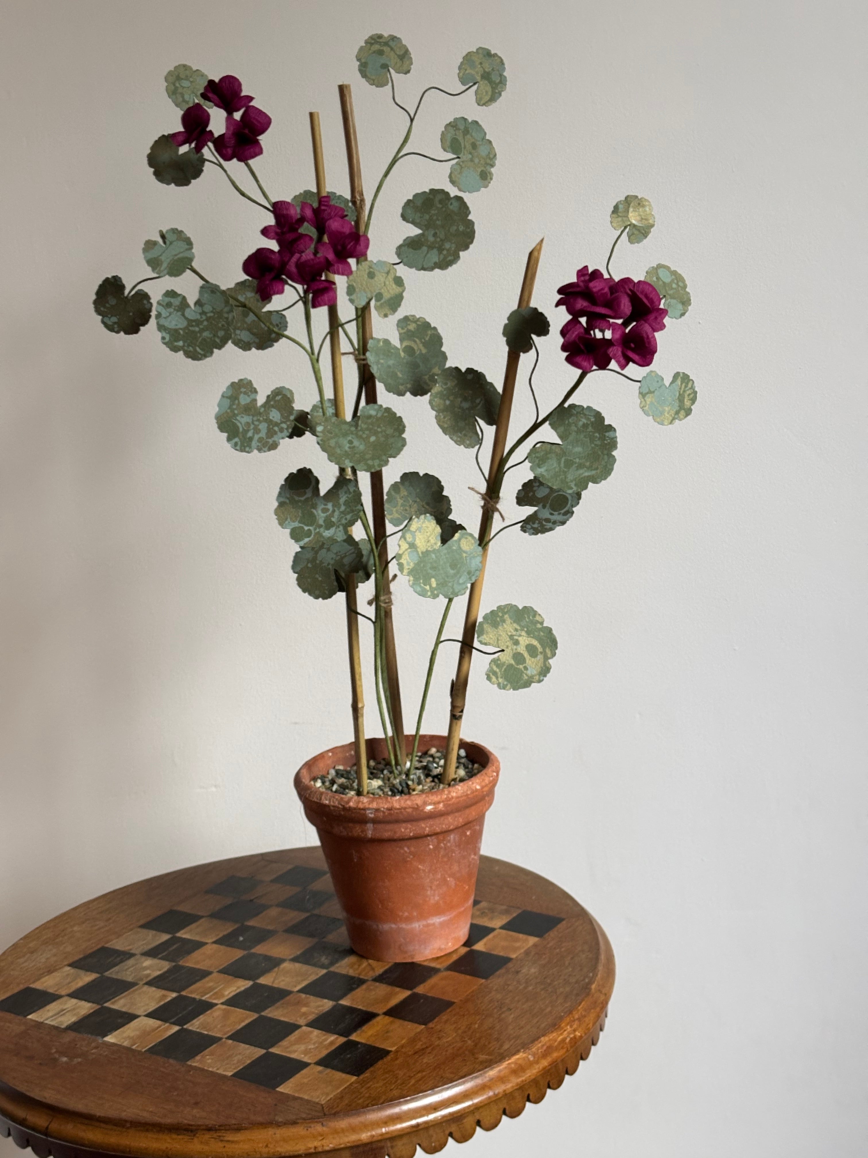 Paper Geranium