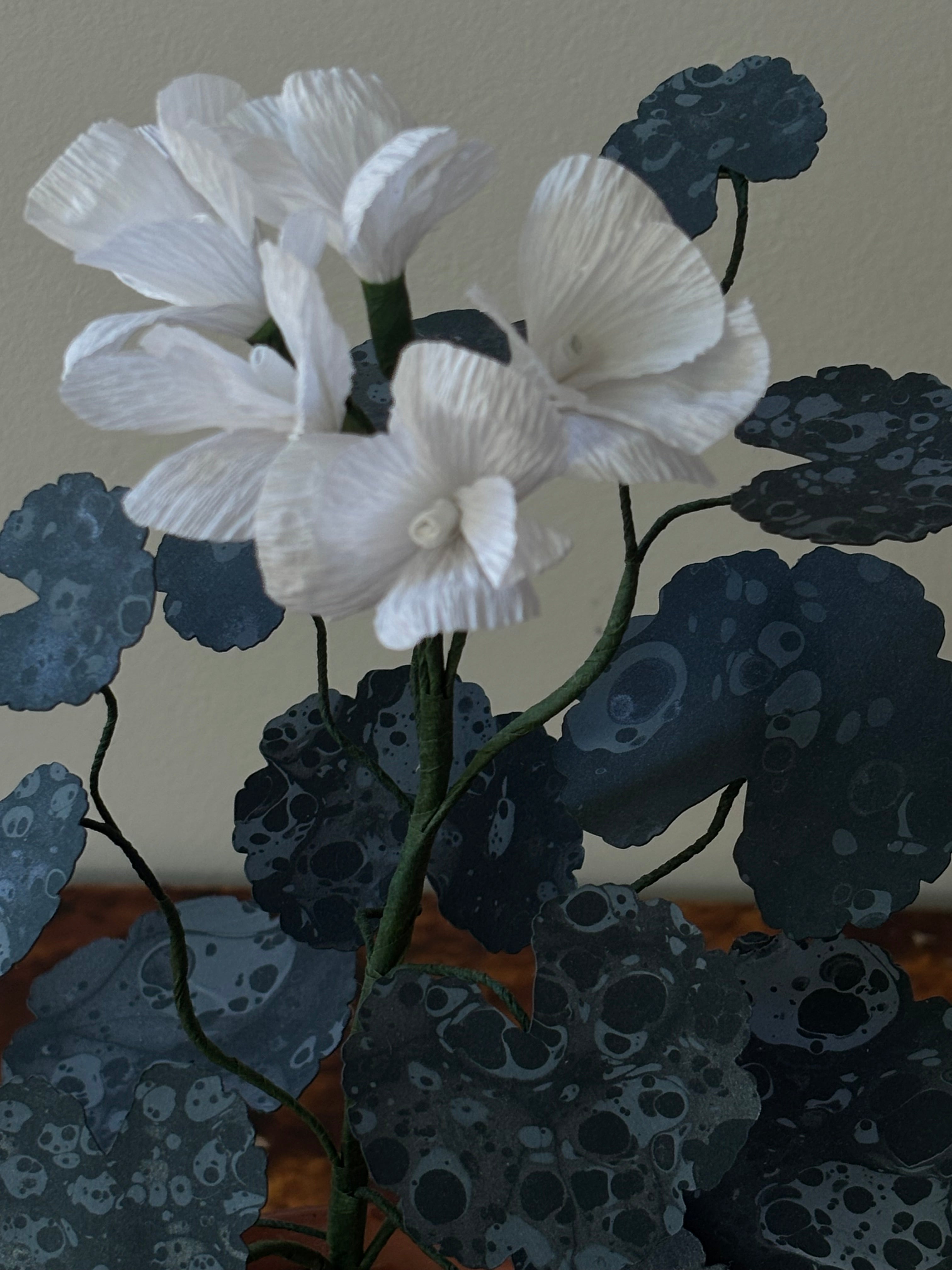 Paper Geranium