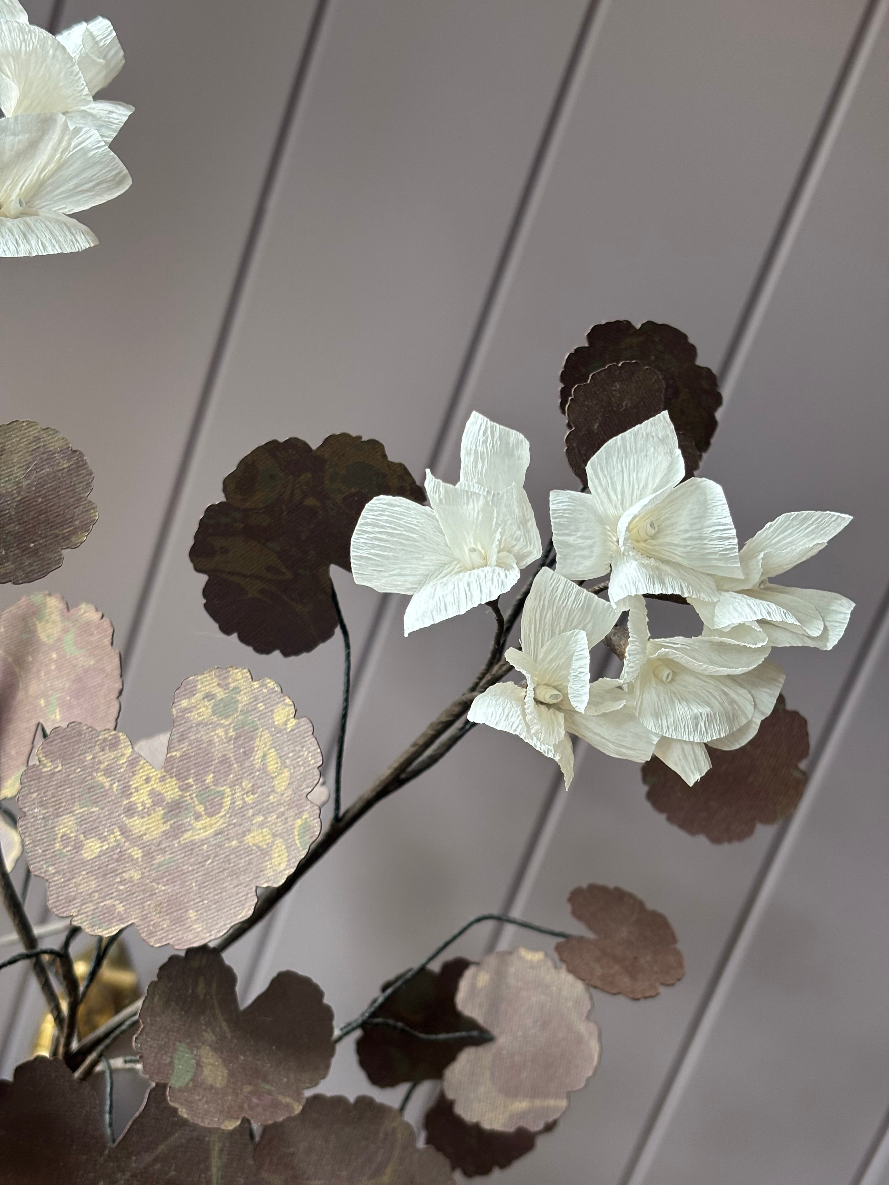 Paper geranium