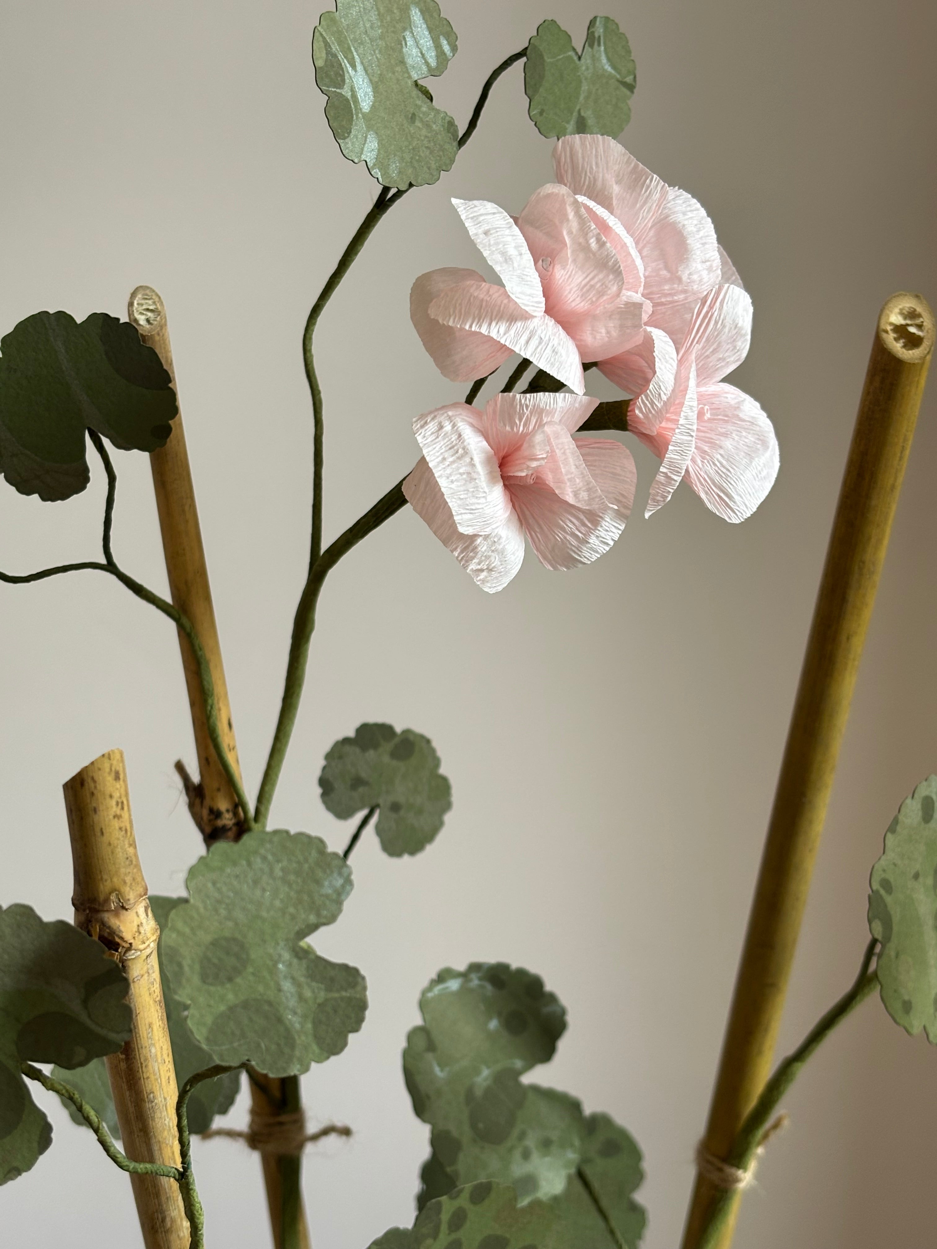 Paper Geranium