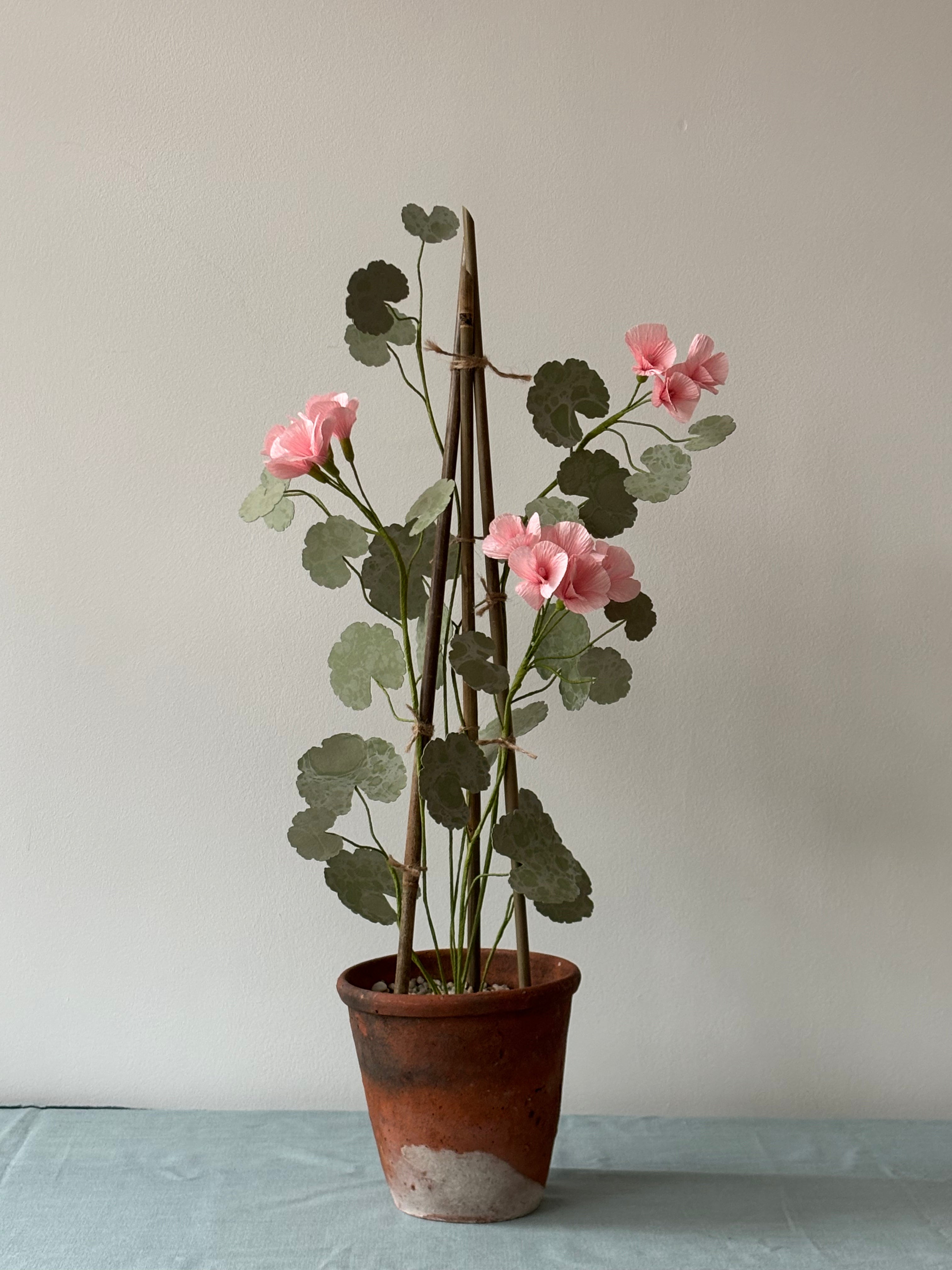 Paper Geranium