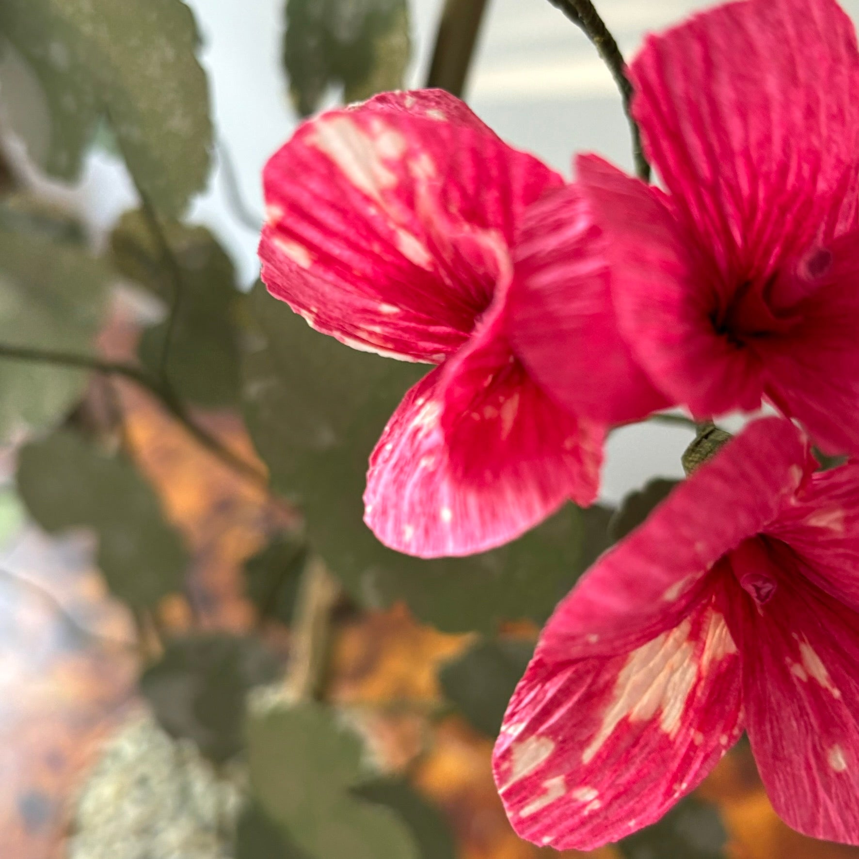 Paper Geranium