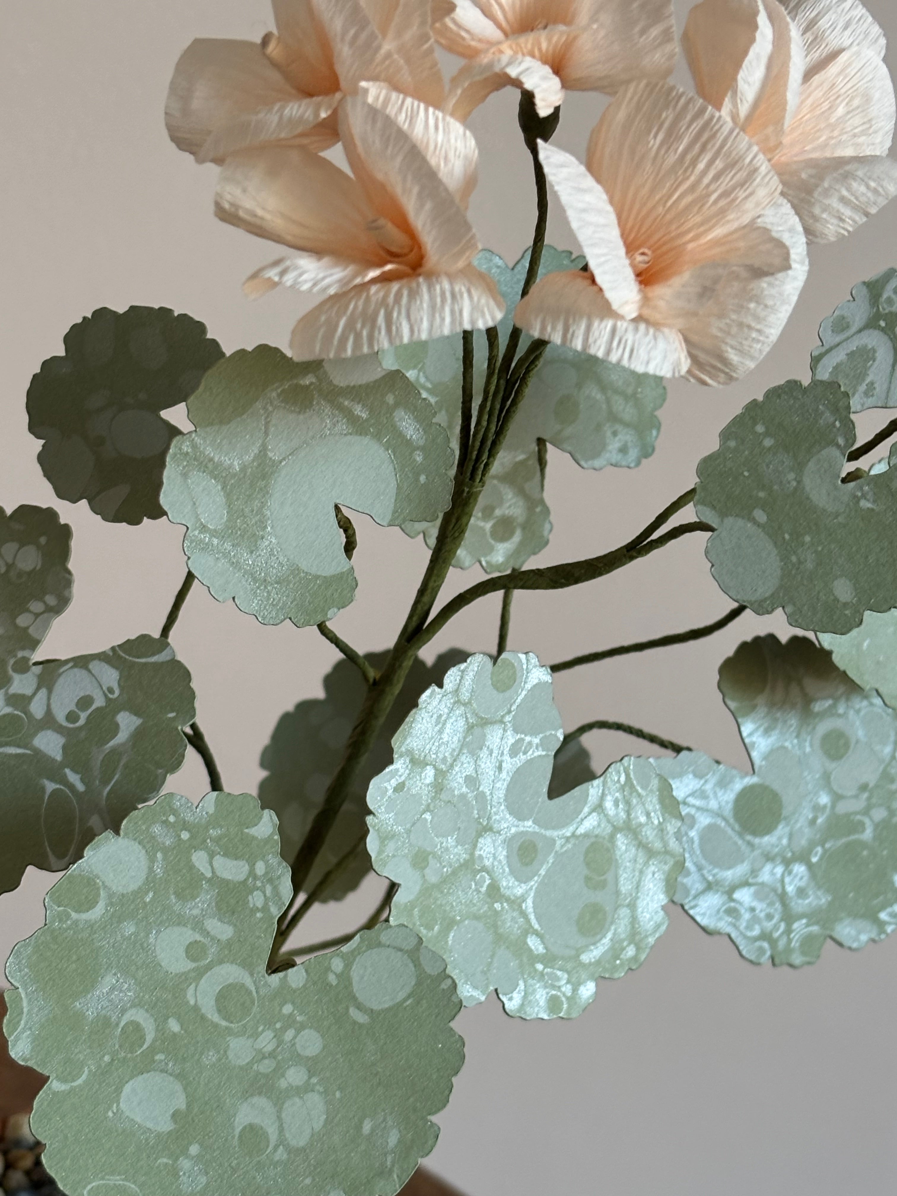 Paper Geranium