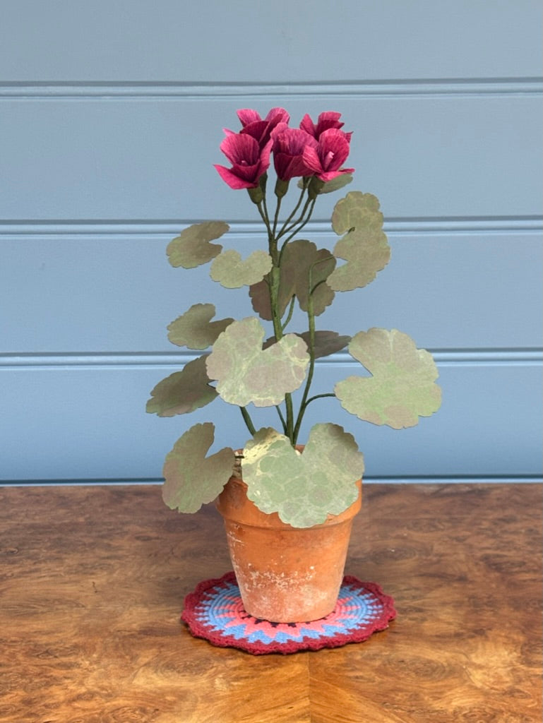 Geranium