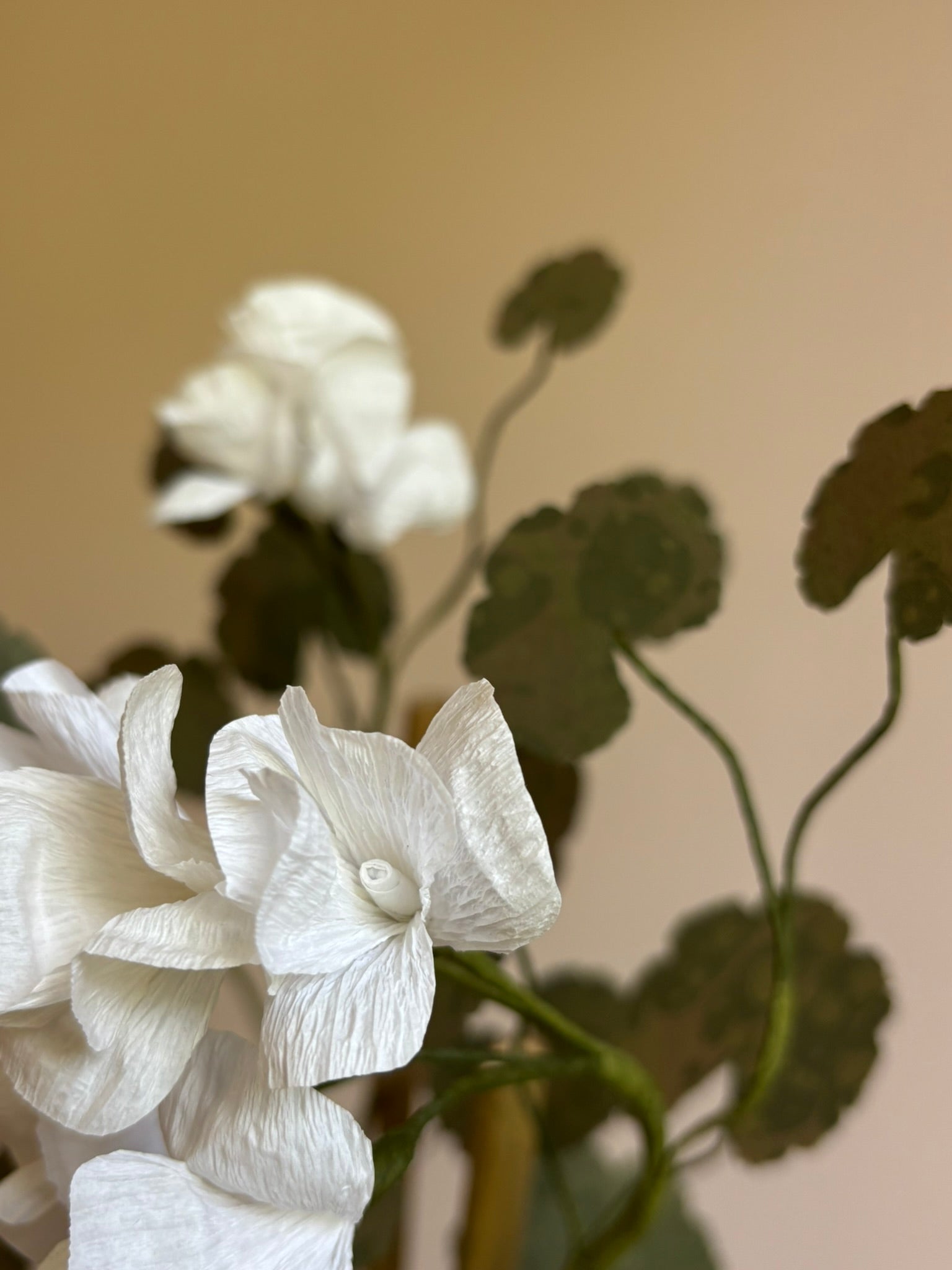 Paper Geranium