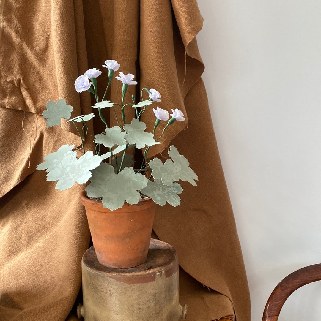 Paper Geranium