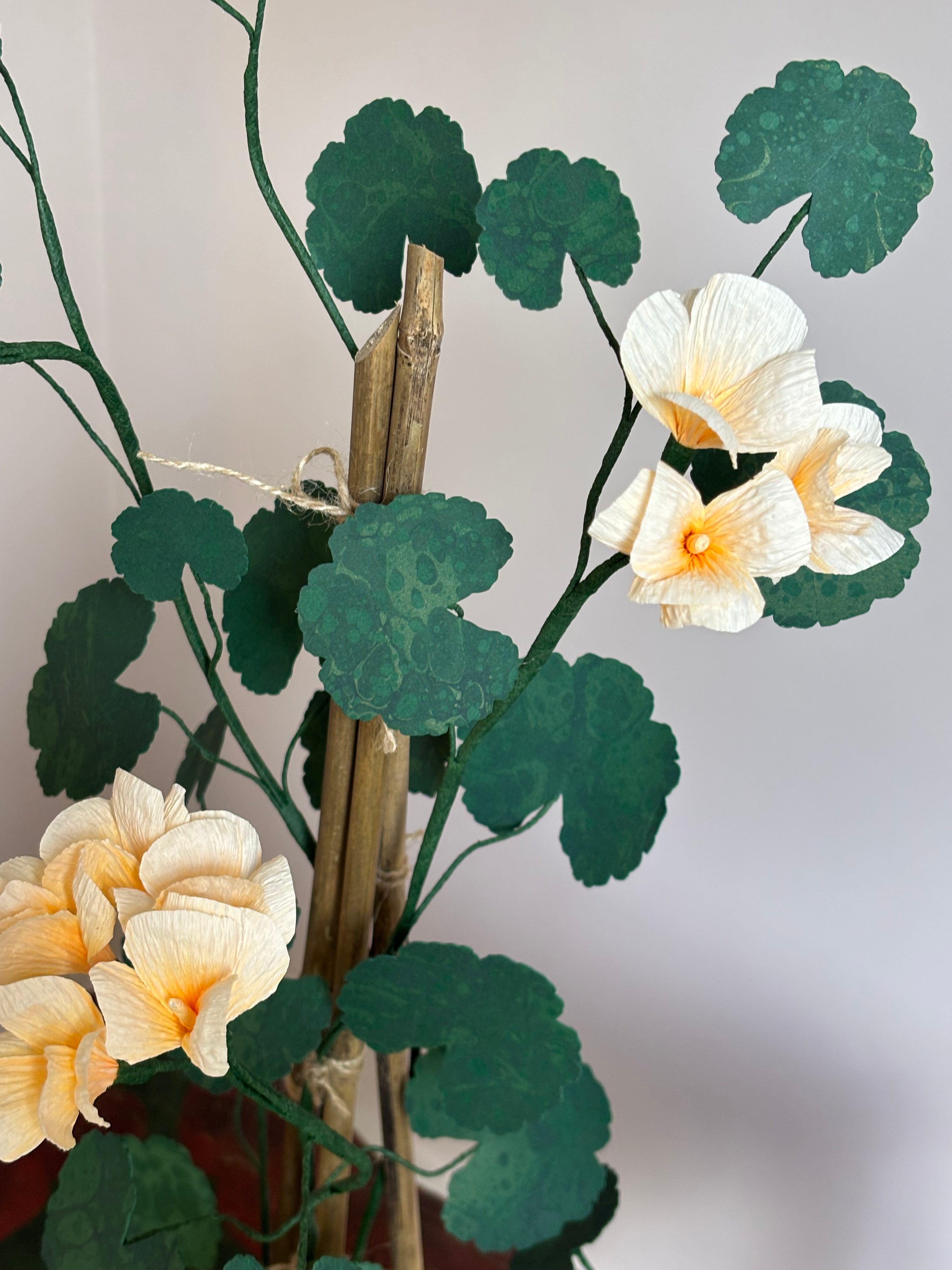 Paper Geranium