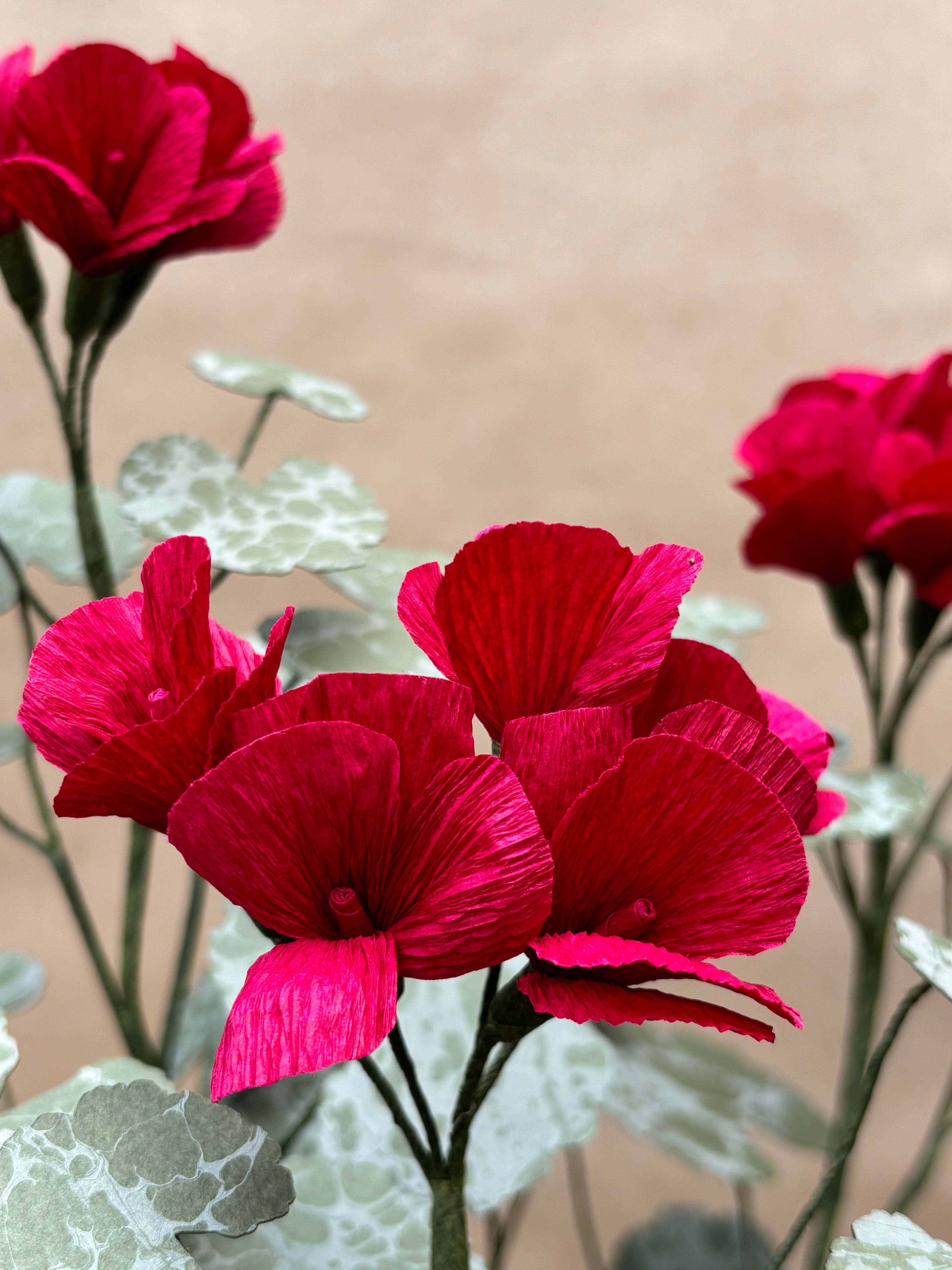 Geranium