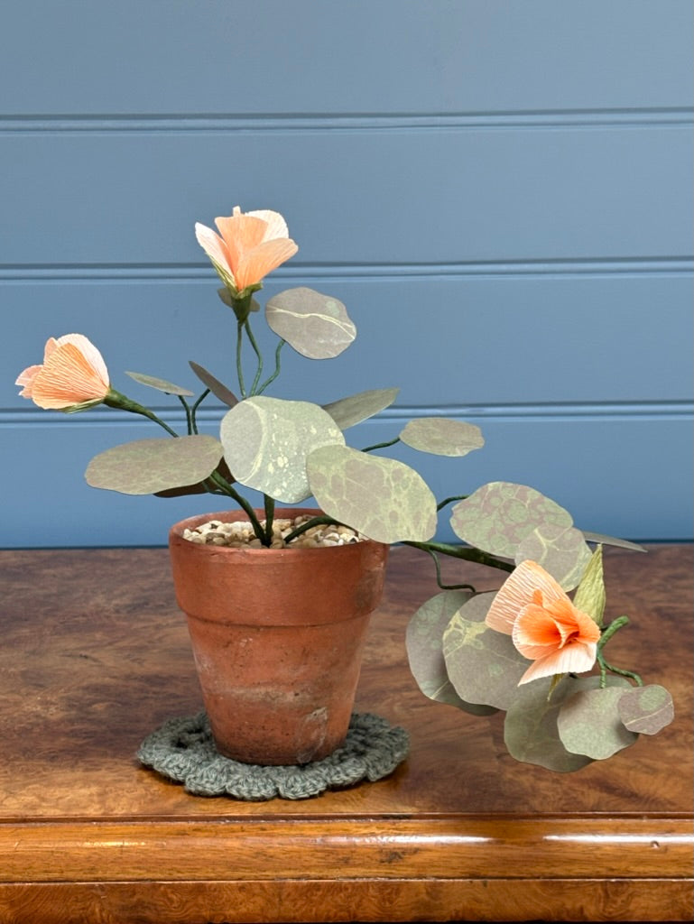 Nasturtium
