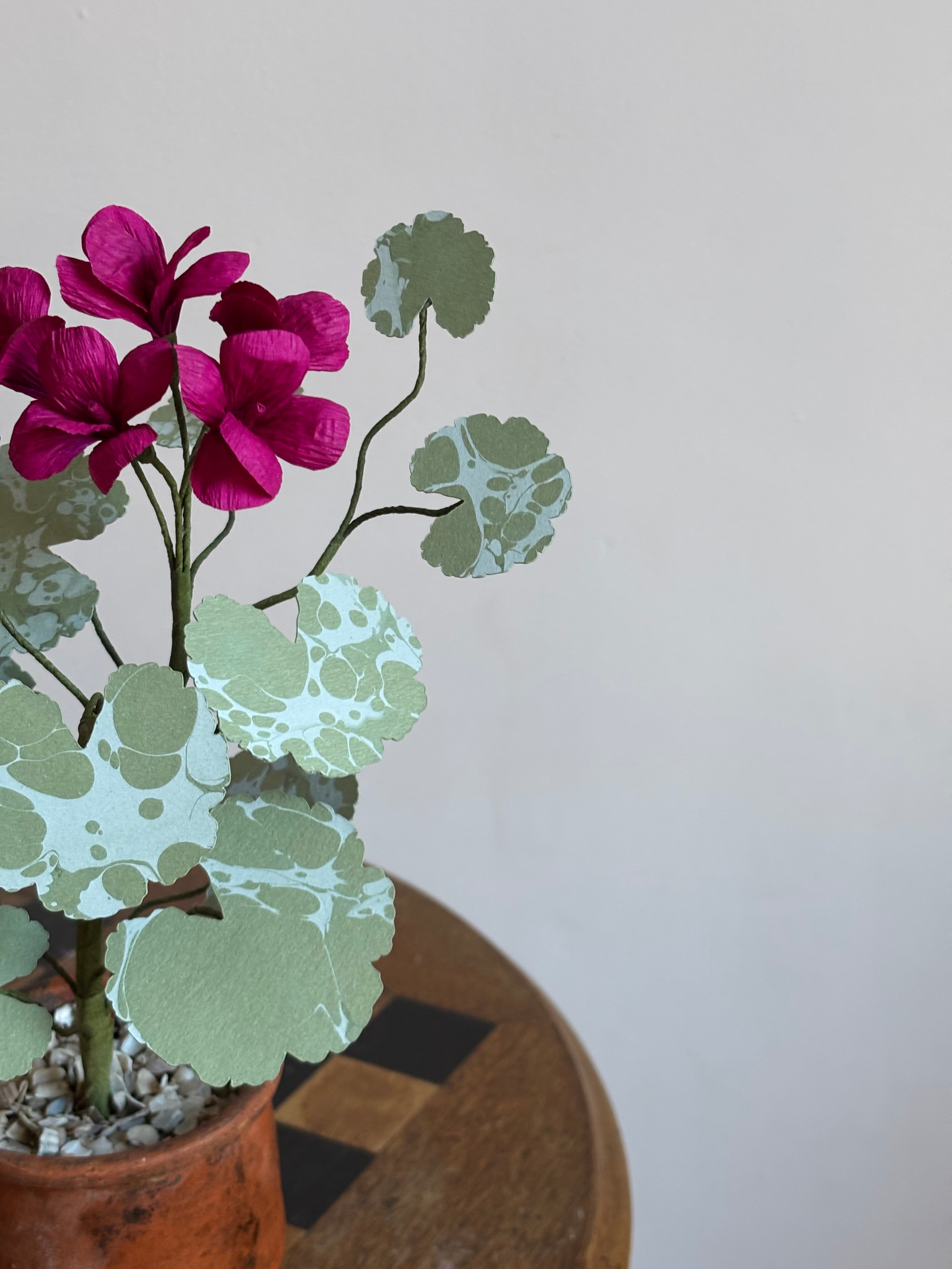 Paper Geranium