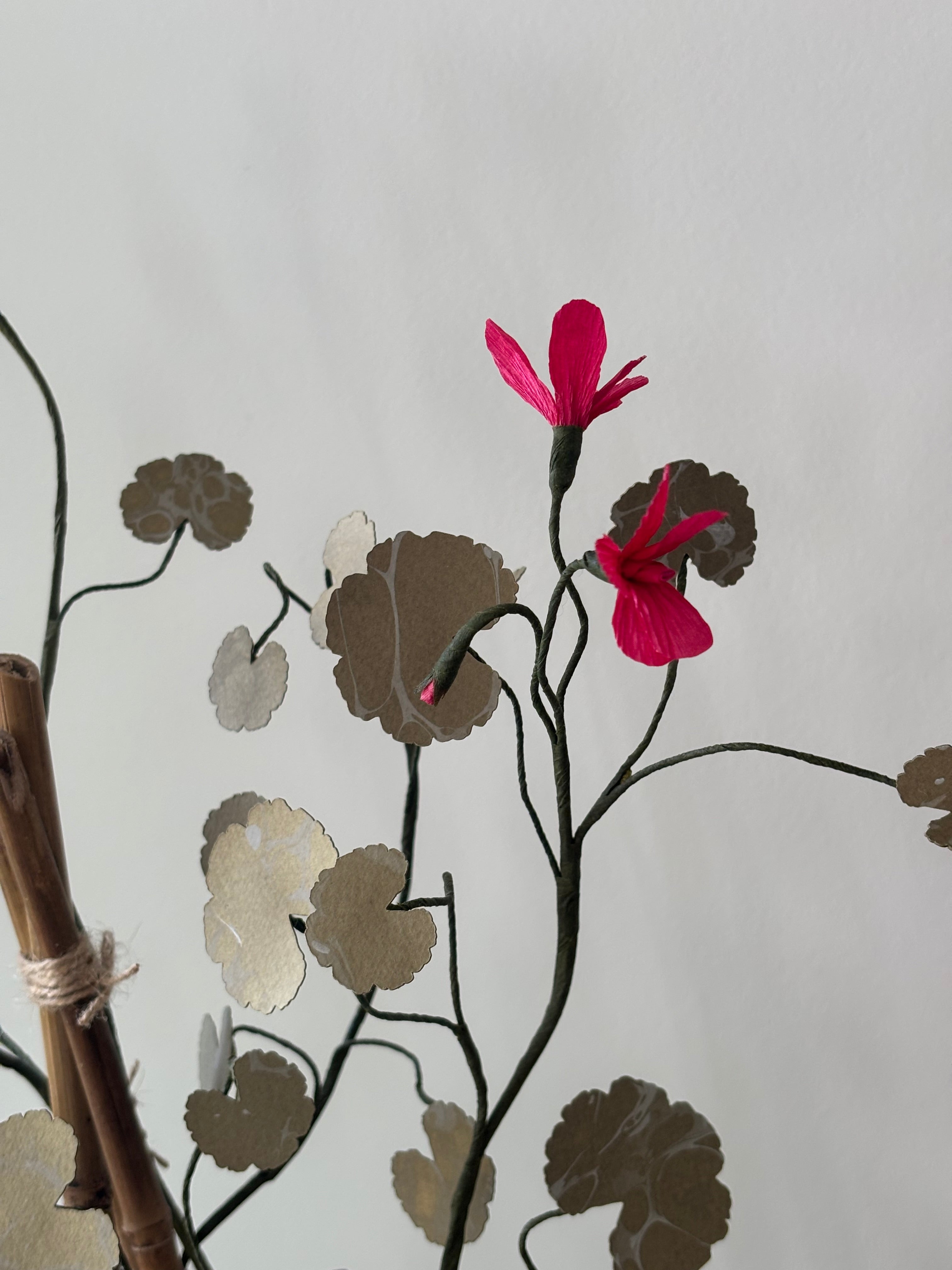 Paper Geranium