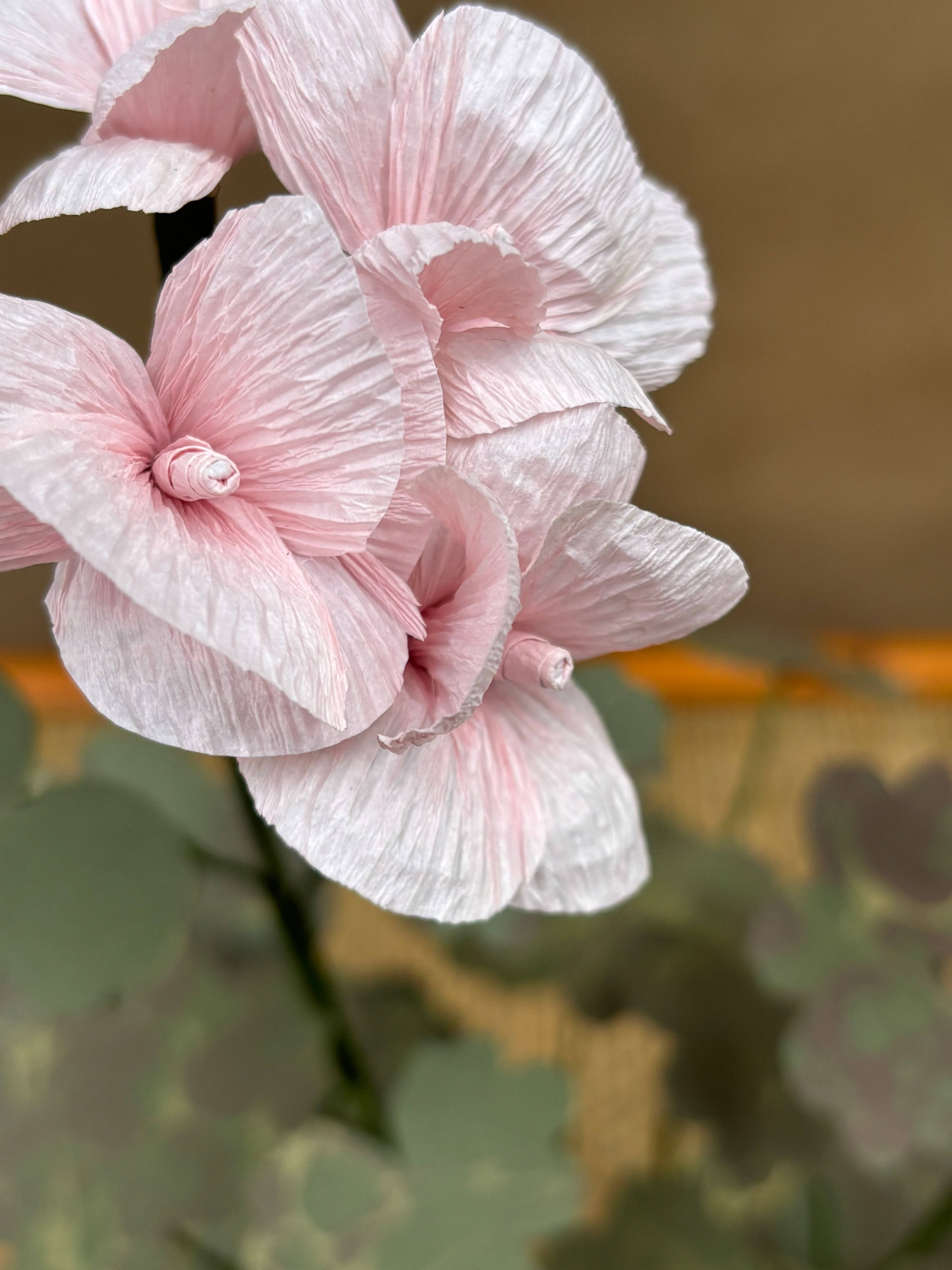 Paper Geranium
