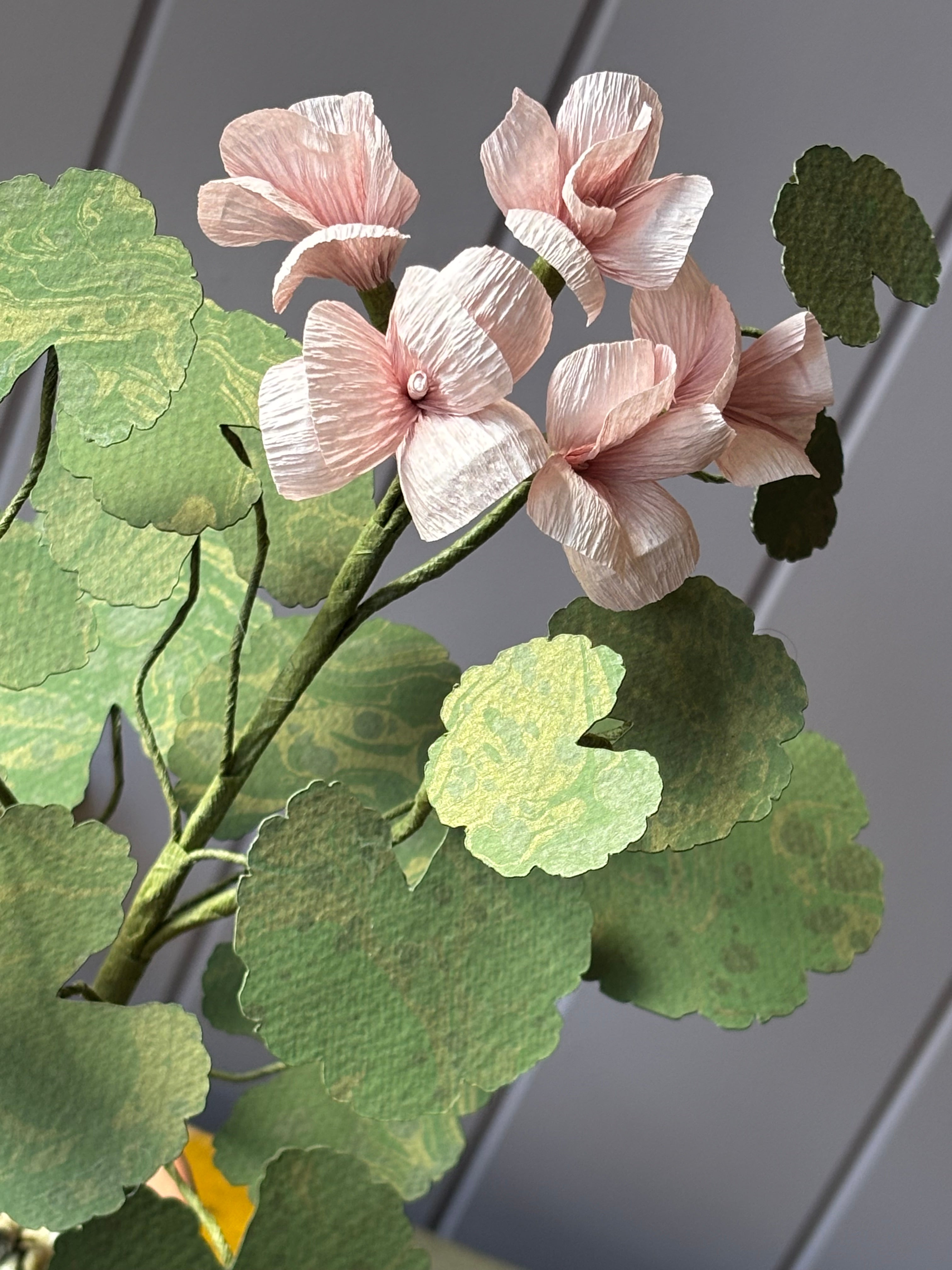 Paper Geranium