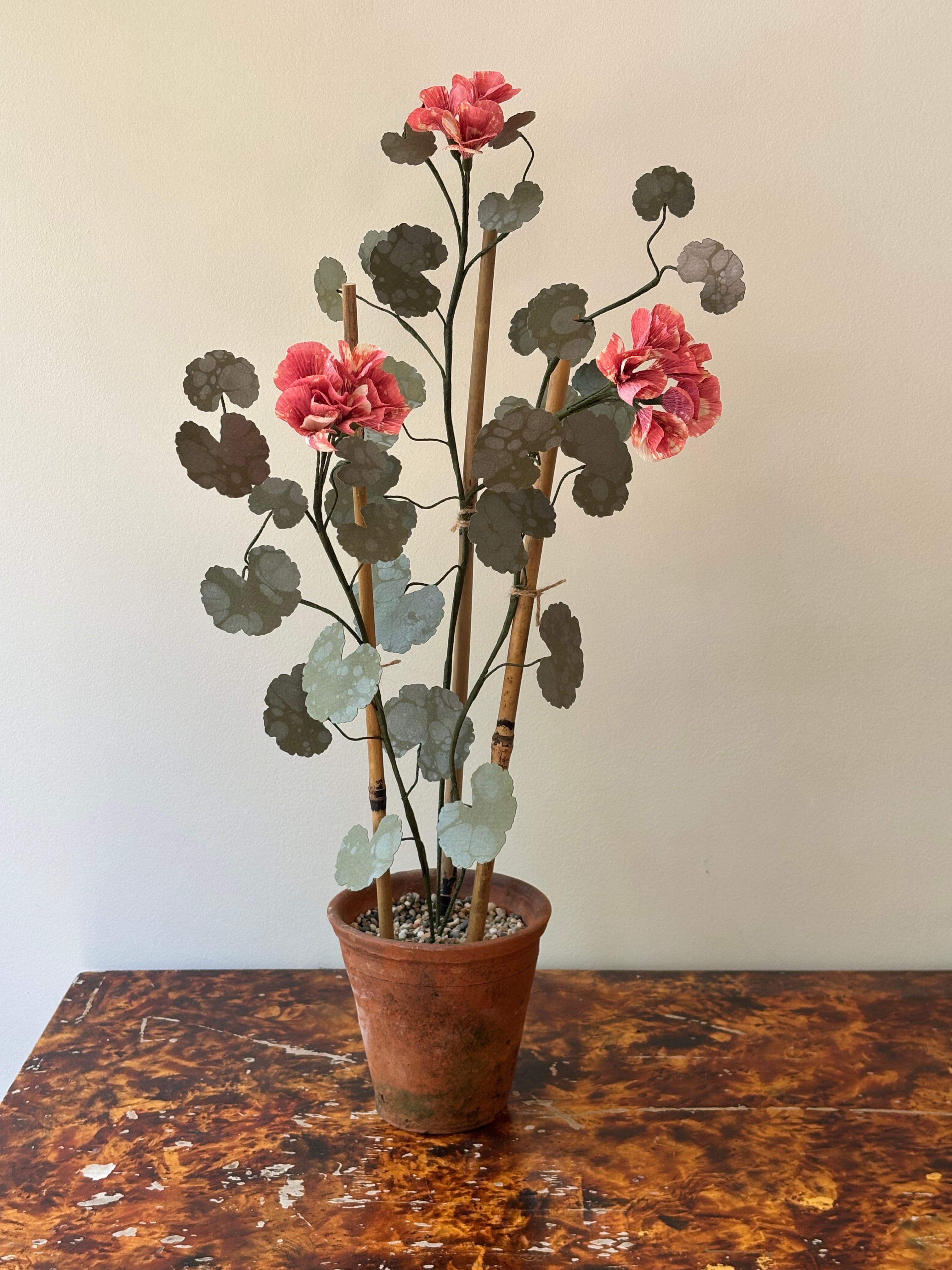 Paper Geranium