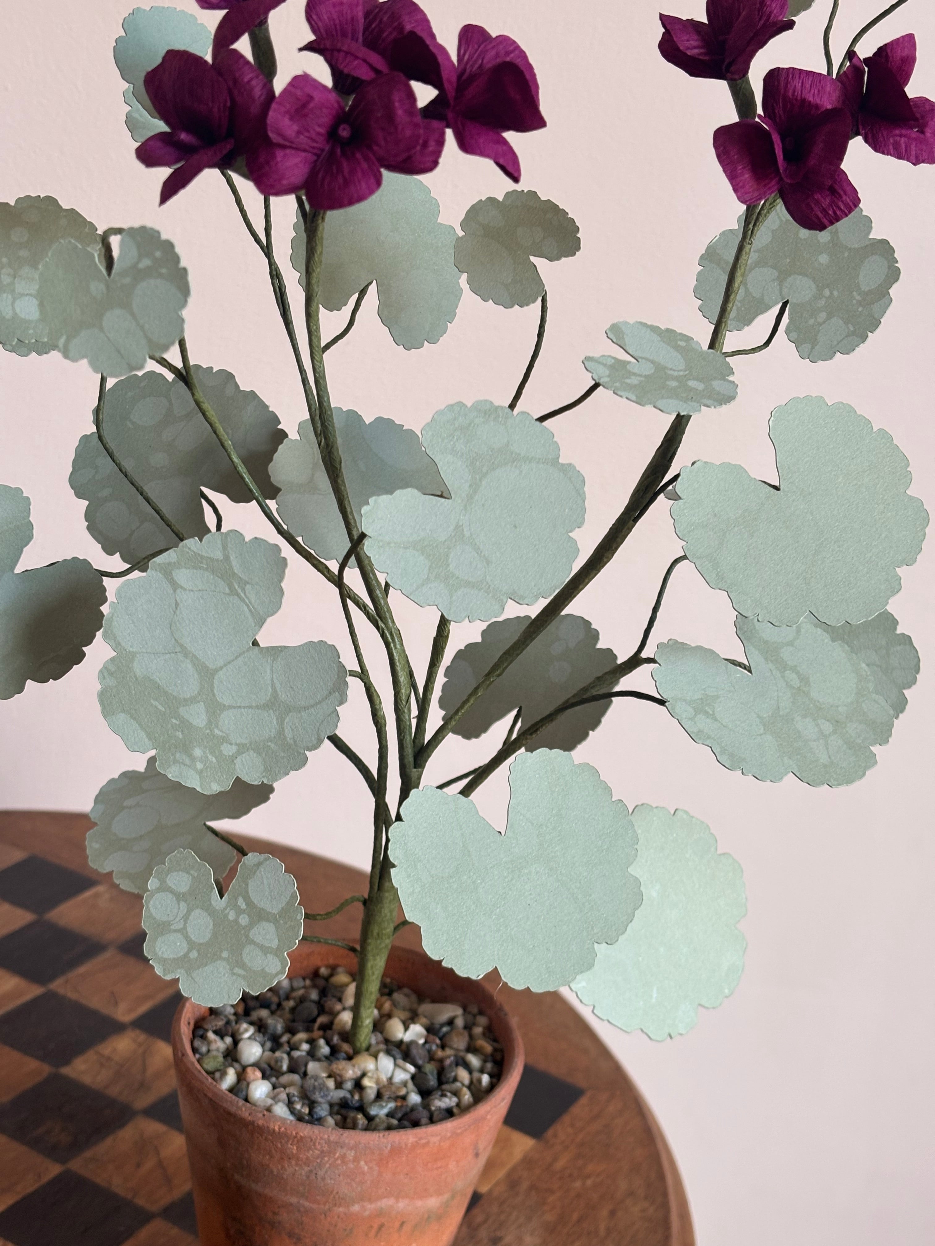 Paper Geranium