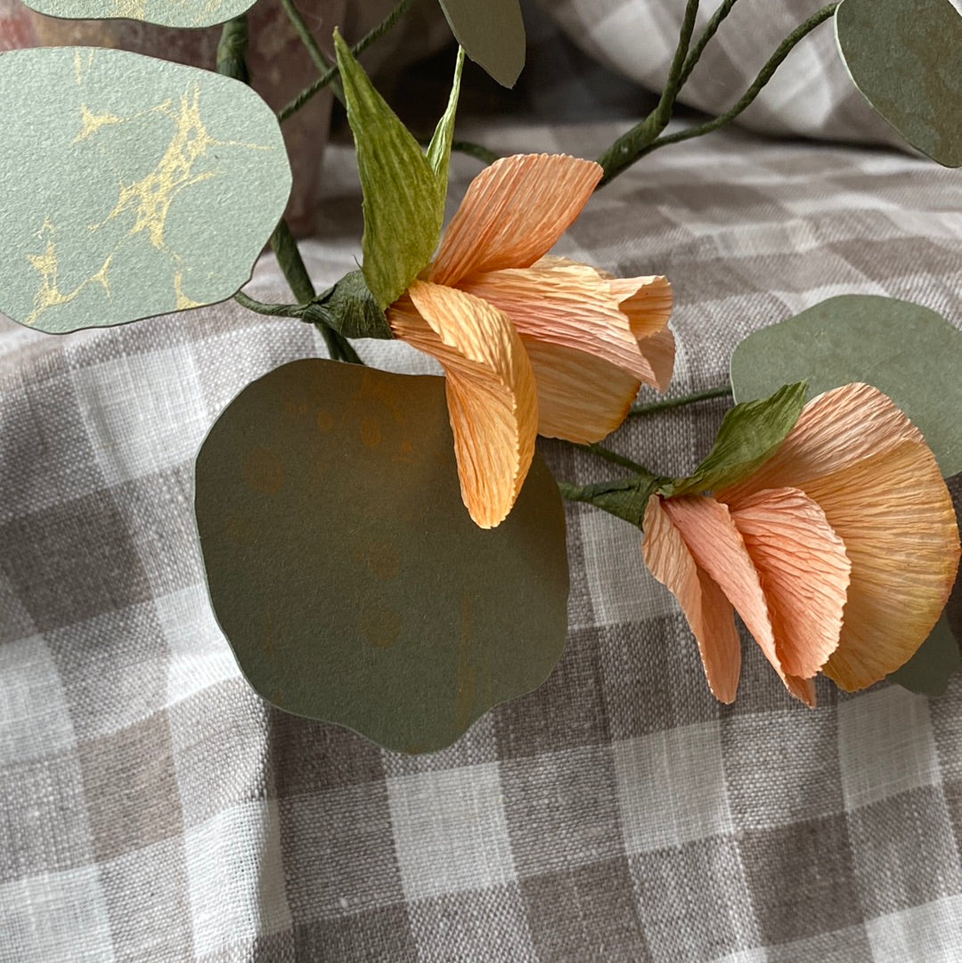 Paper Nasturtium