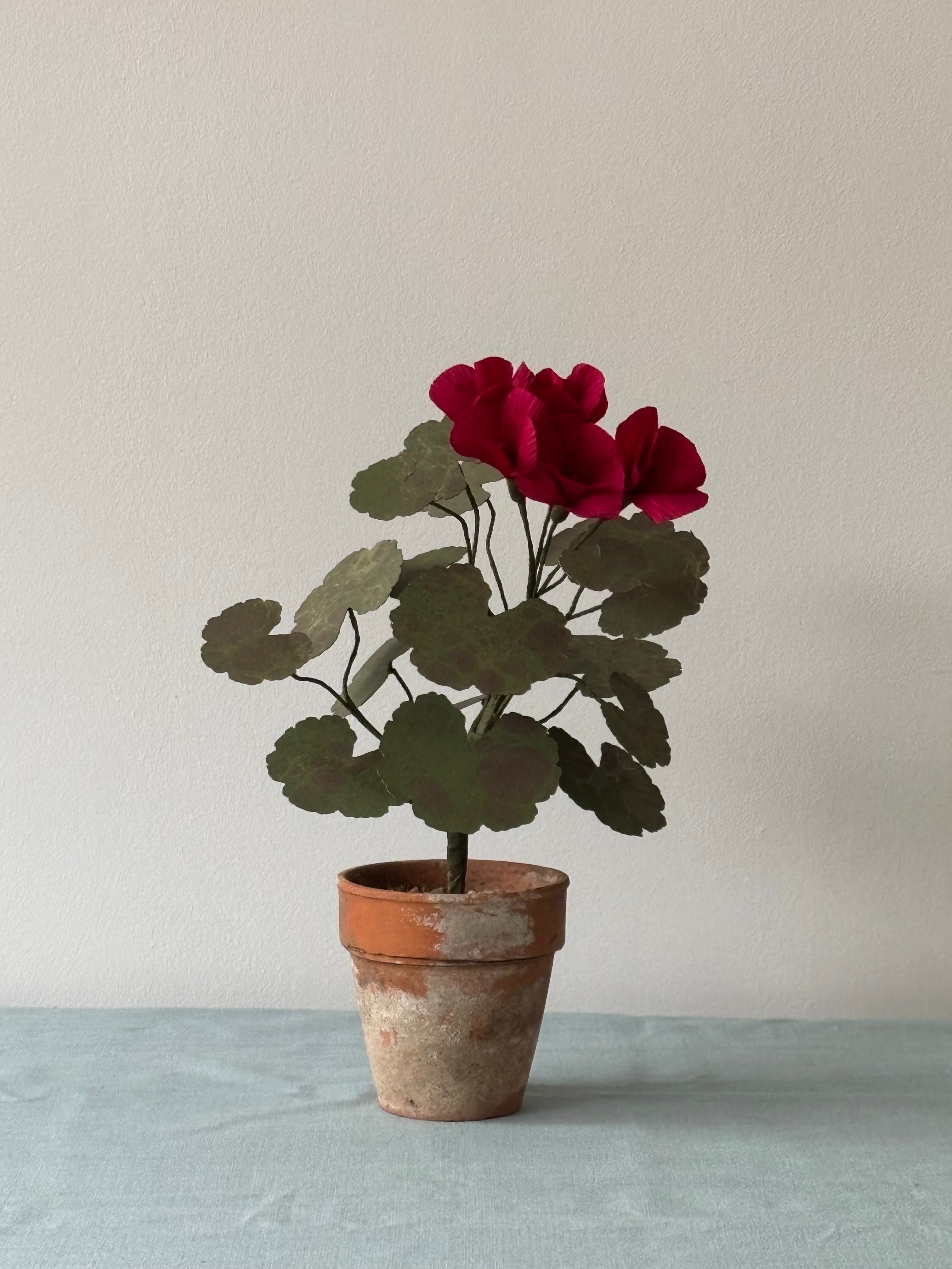 Paper Geranium