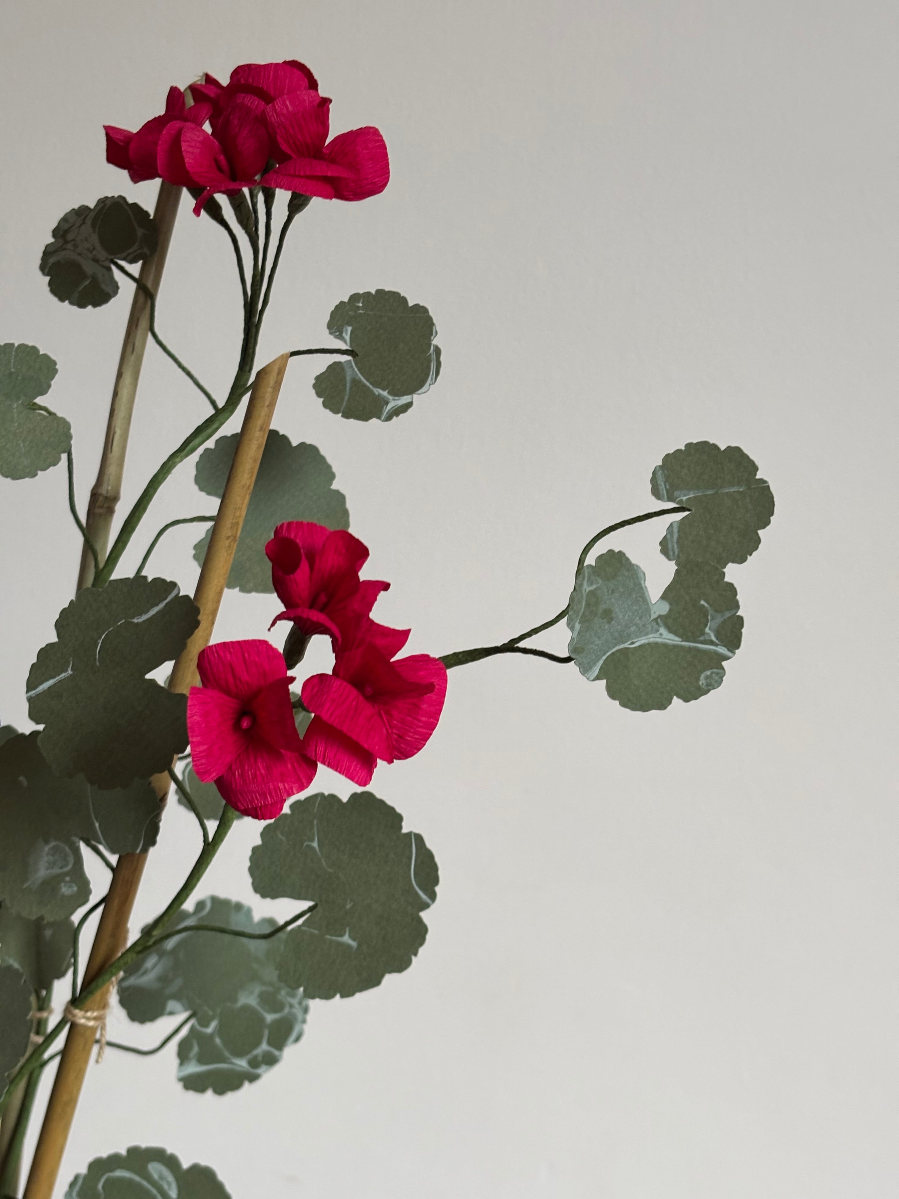Paper Geranium