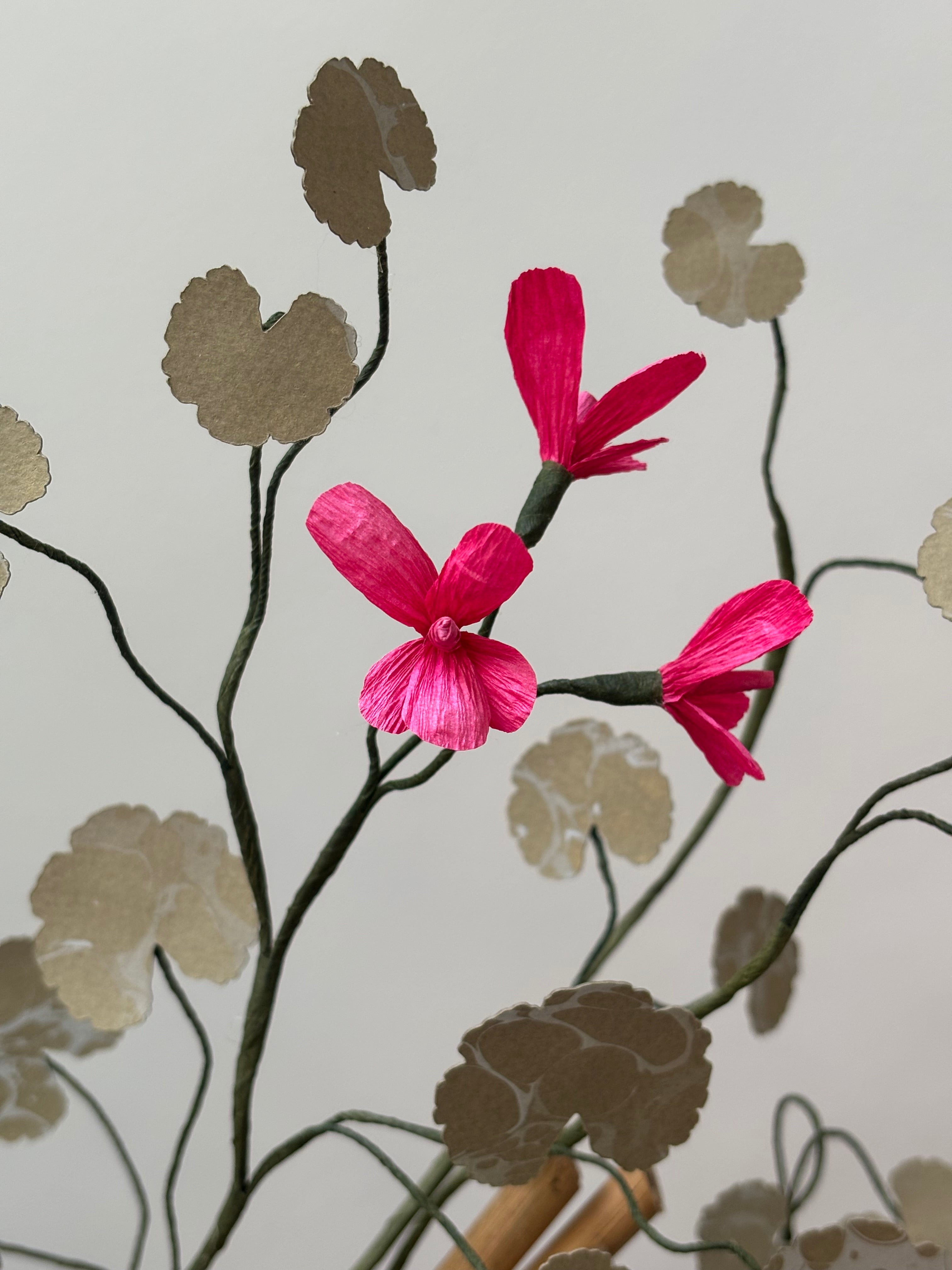 Paper Geranium