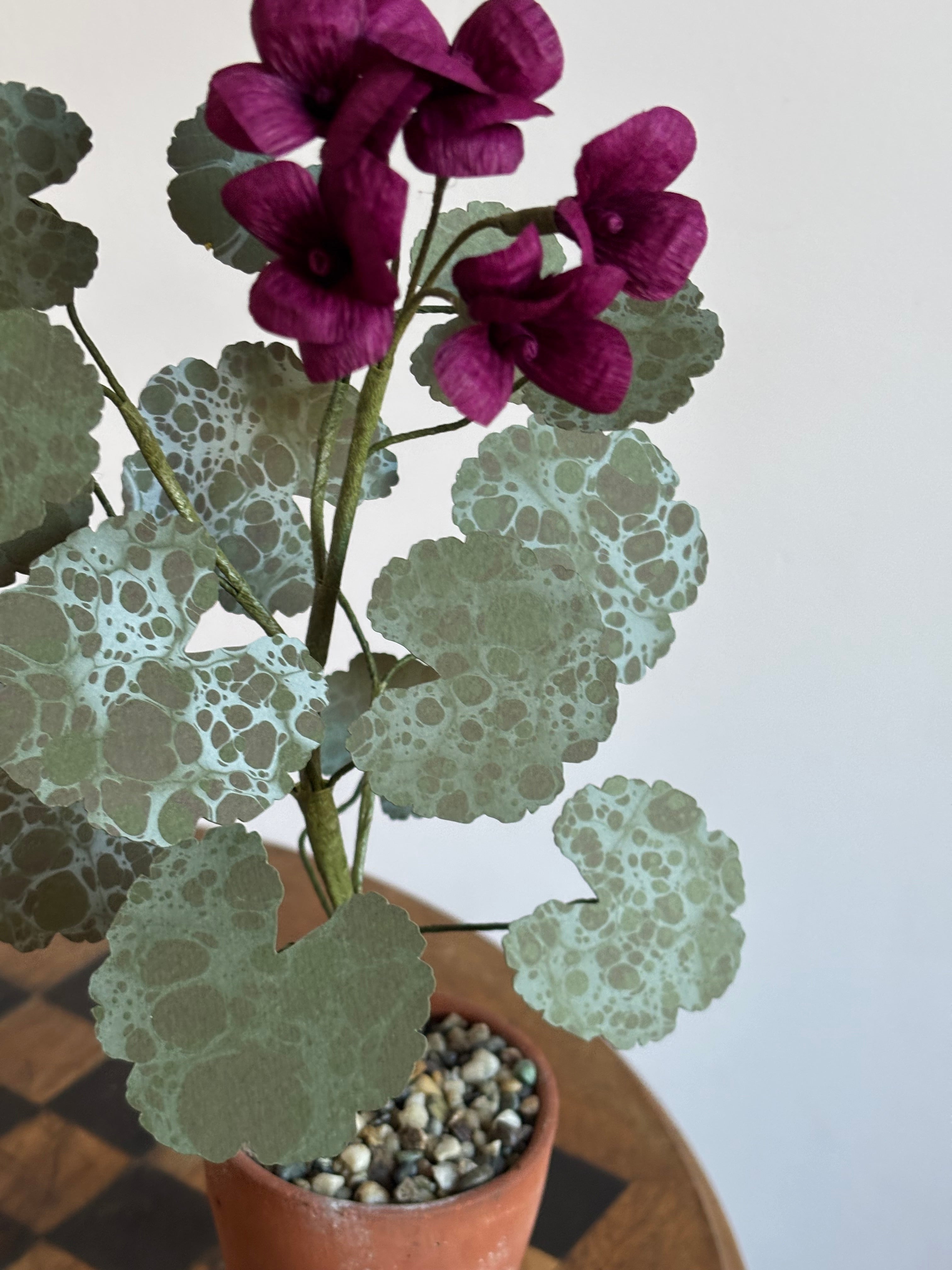 Paper Geranium