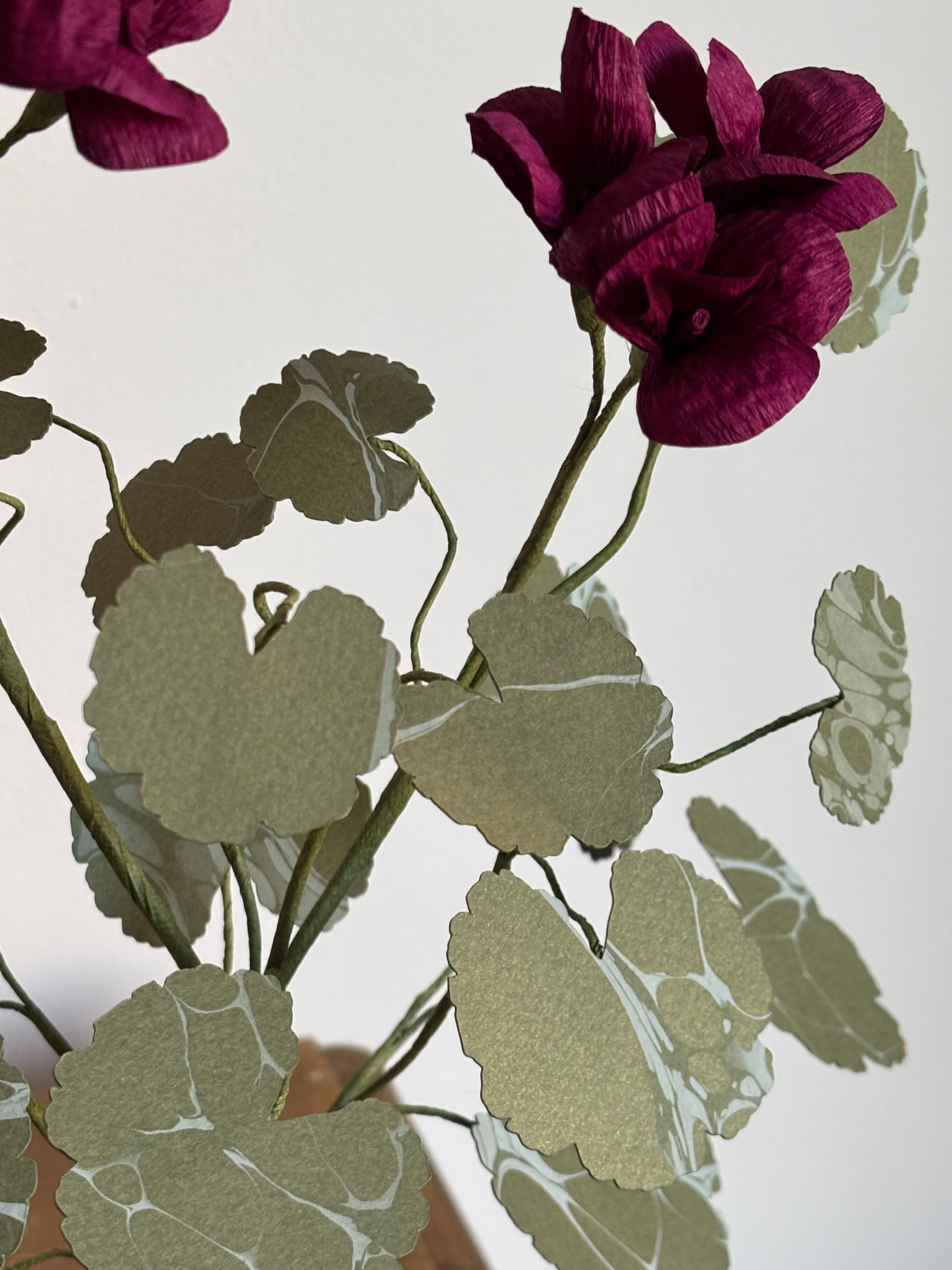 Paper Geranium