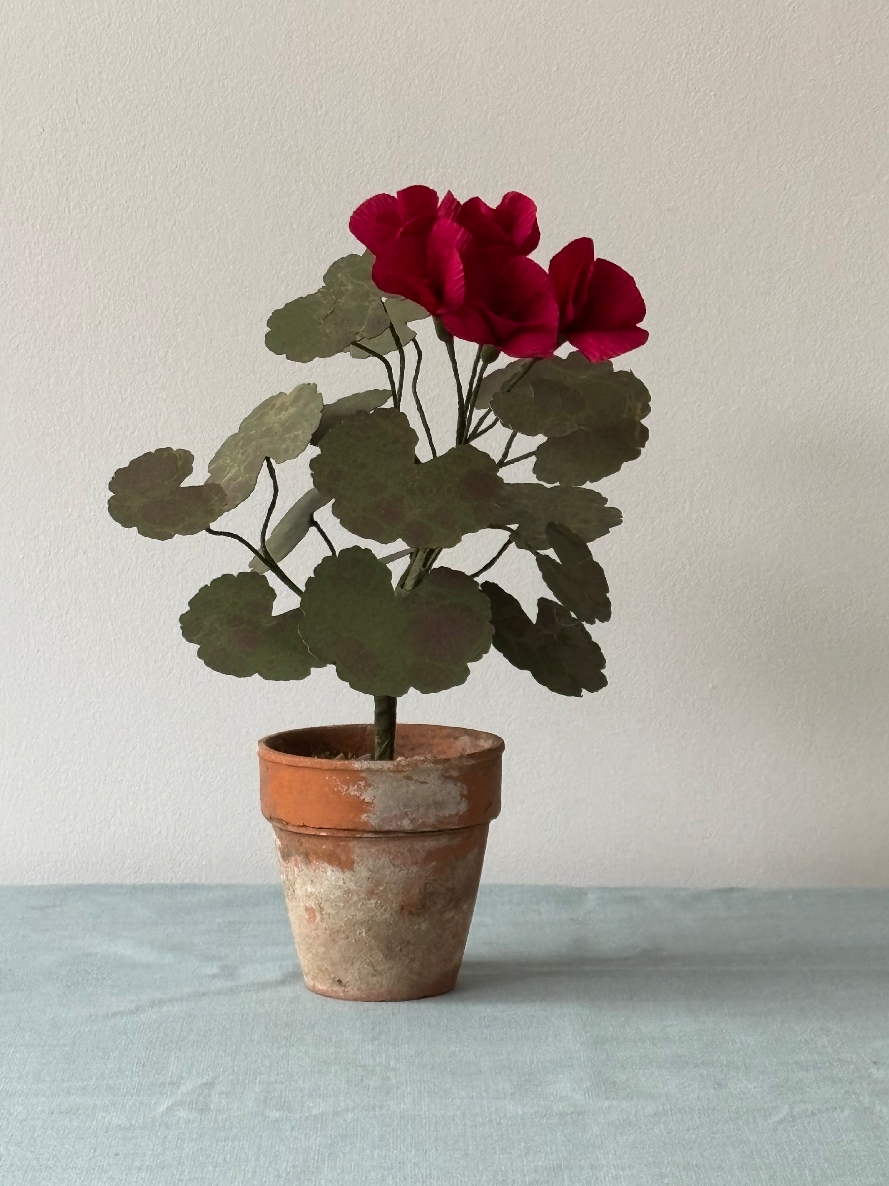 Paper Geranium