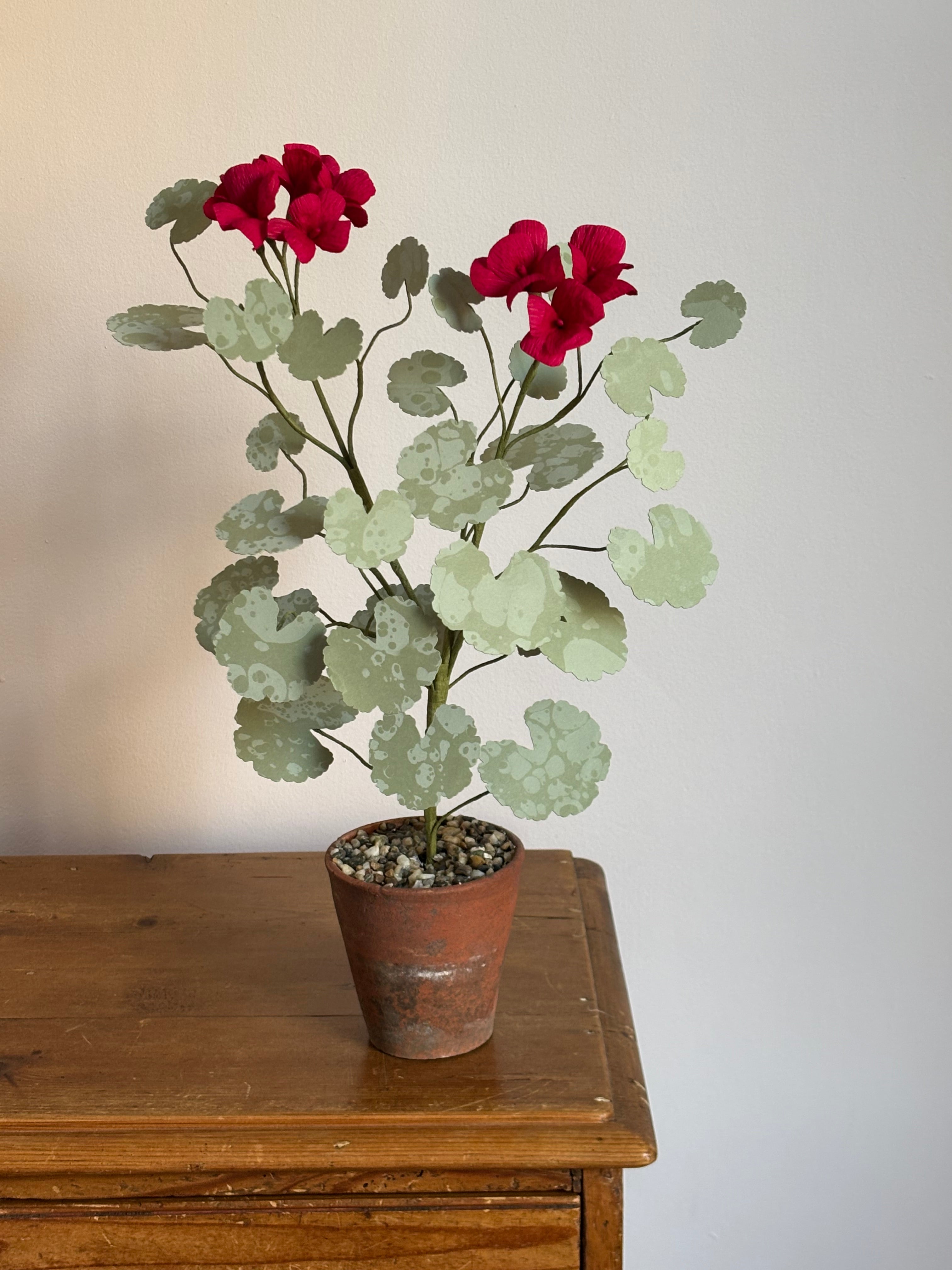 Paper Geranium