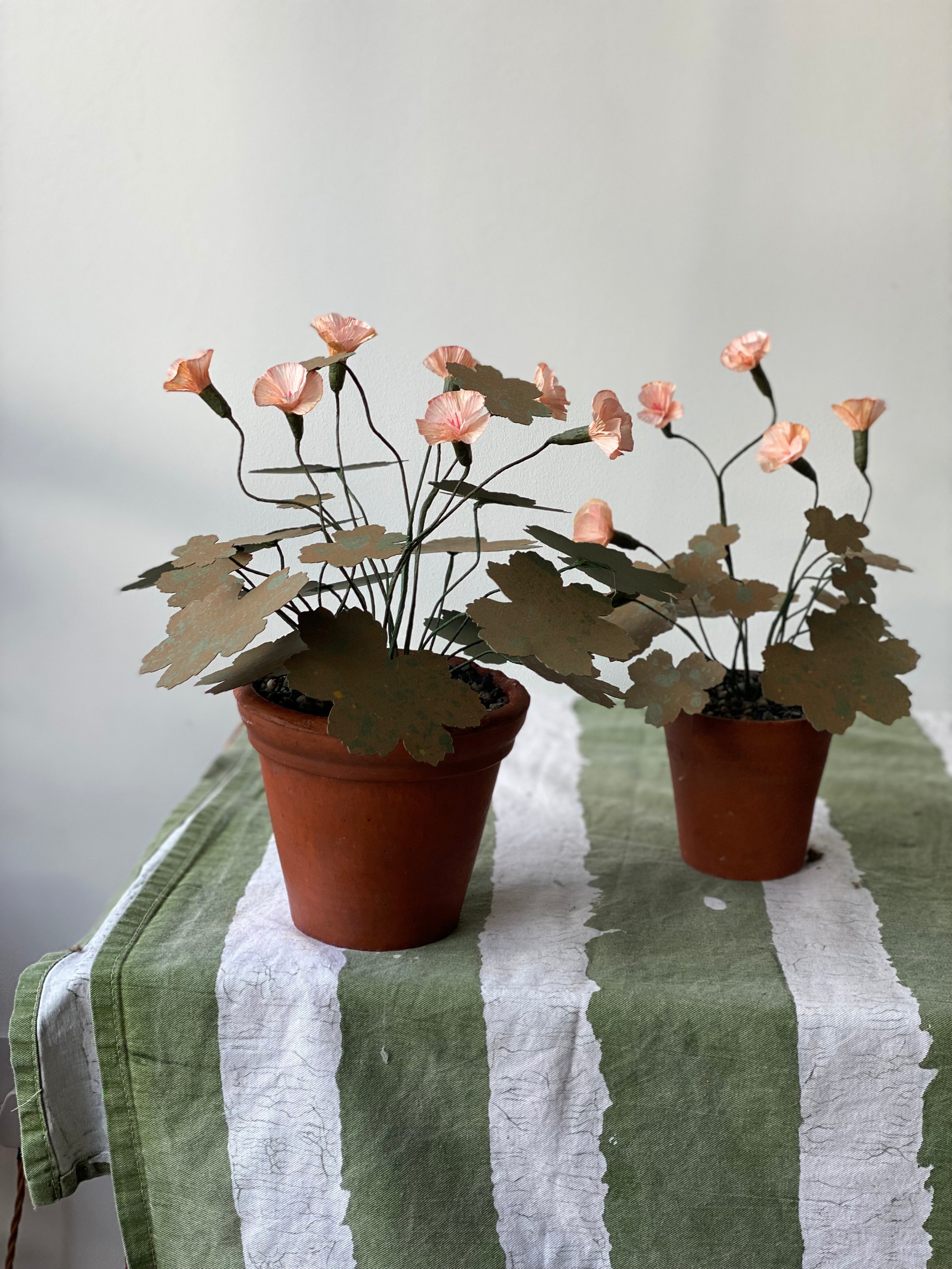 Paper Hardy Geranium