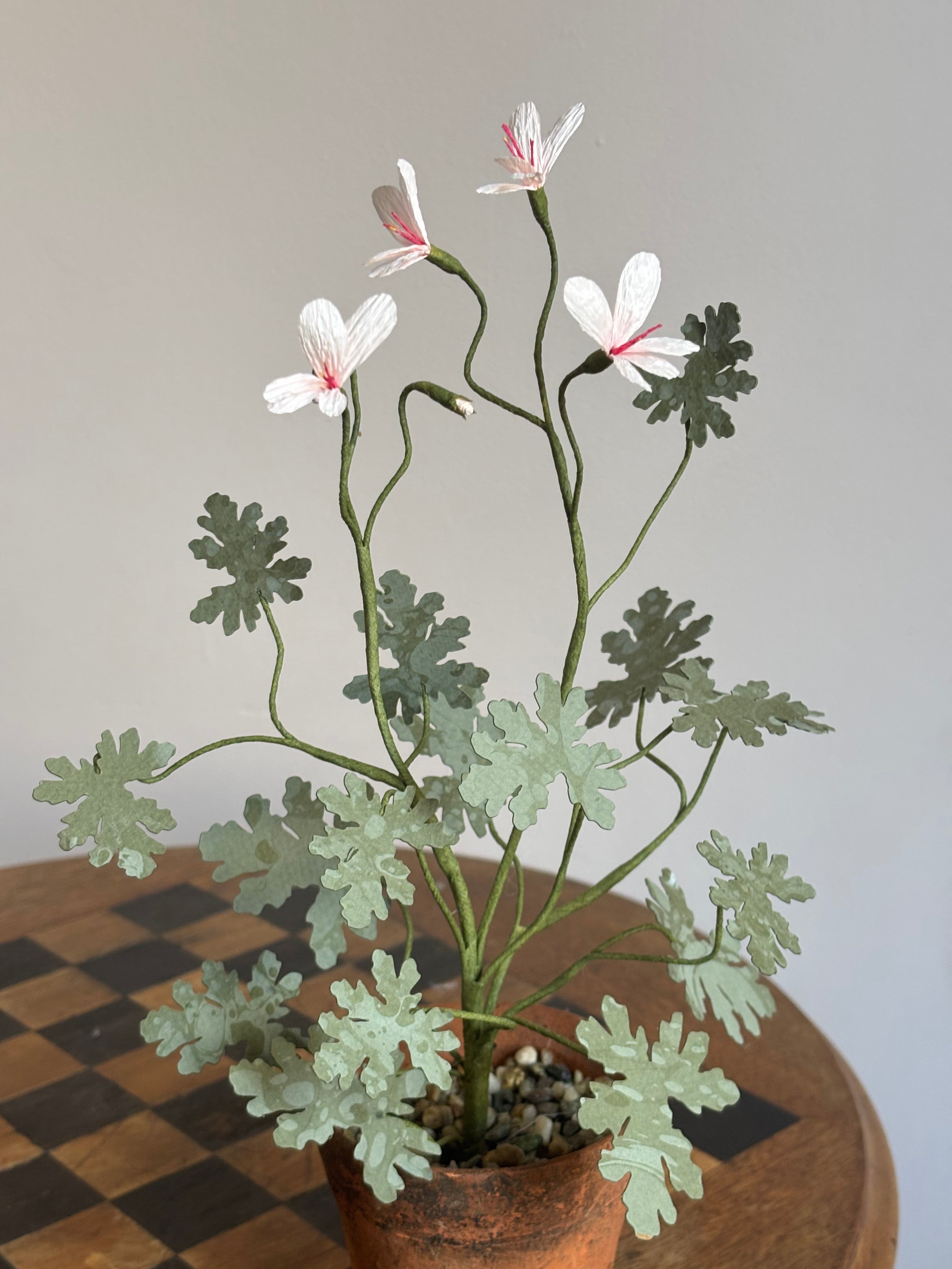 Paper Pelargonium, inspired by Pelargonium radens