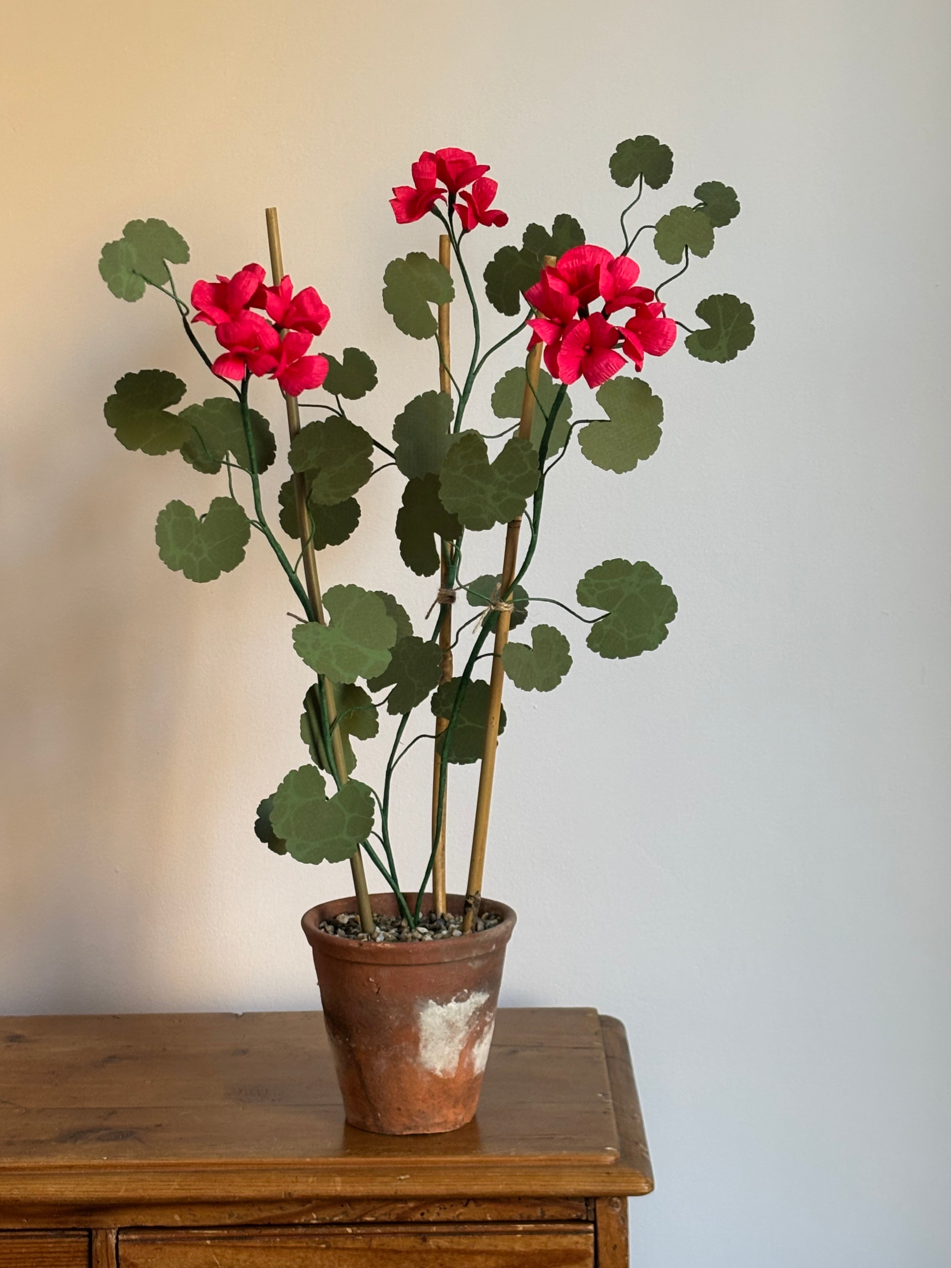 Paper Geranium