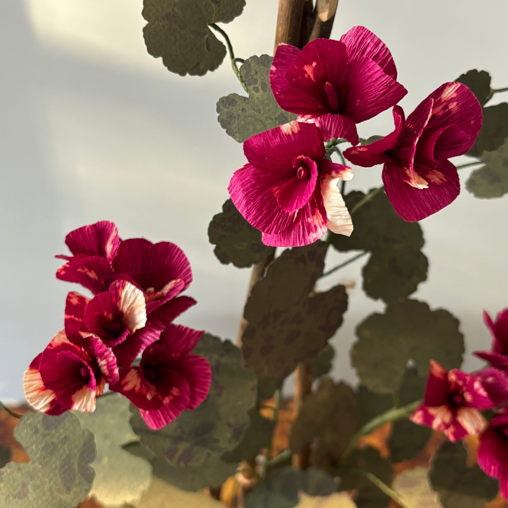 Paper Geranium