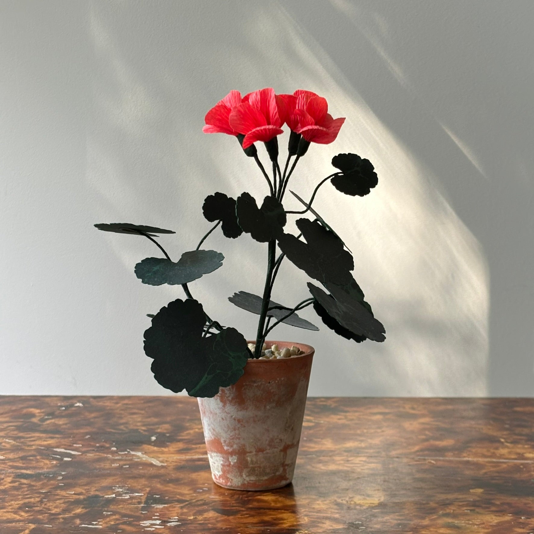 Paper Geranium