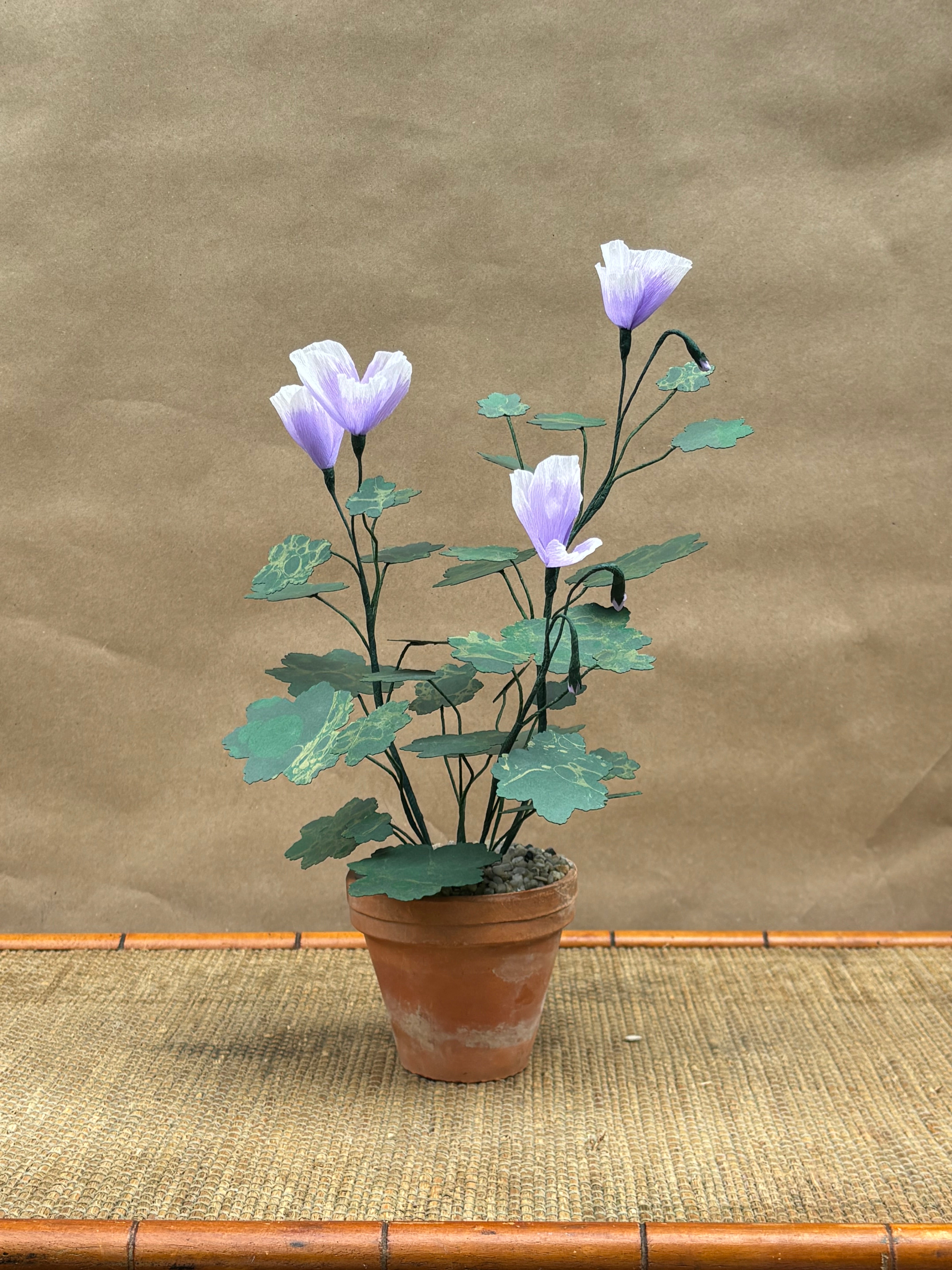 Paper Geranium
