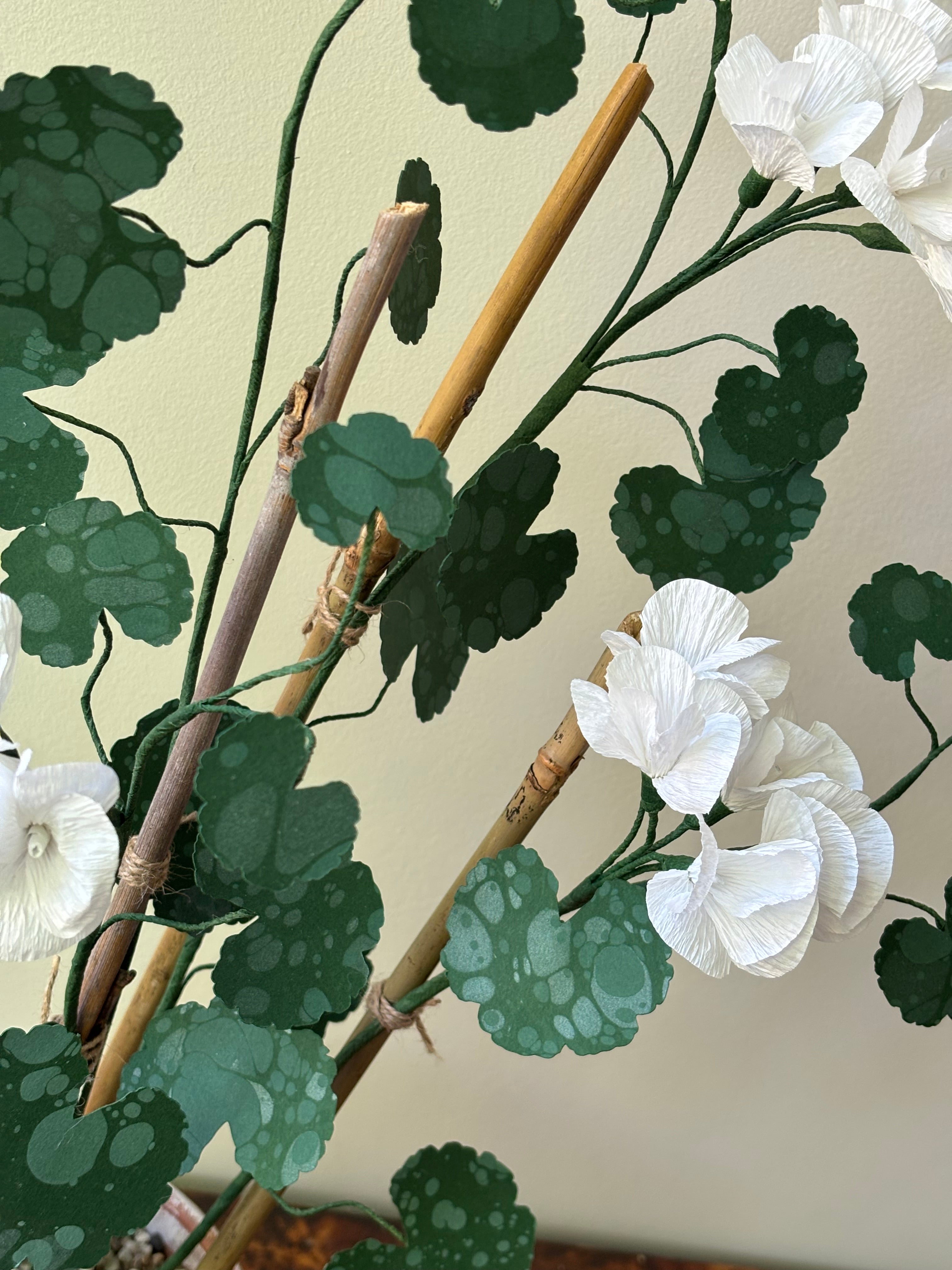 Paper Geranium